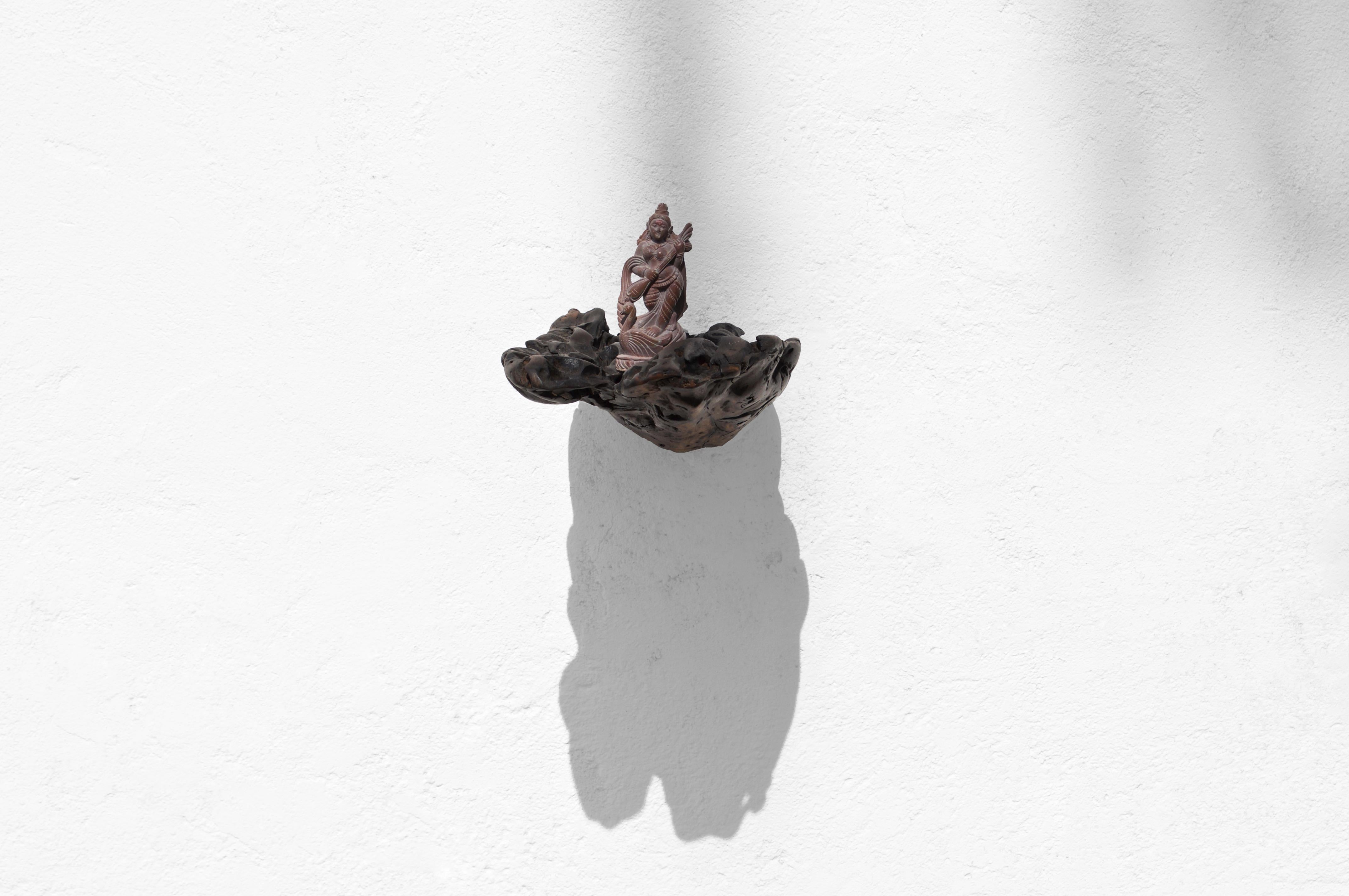 Other W2280 Wall Hanging Shelf in Trop. Driftwood by Jörg Pietschmann For Sale