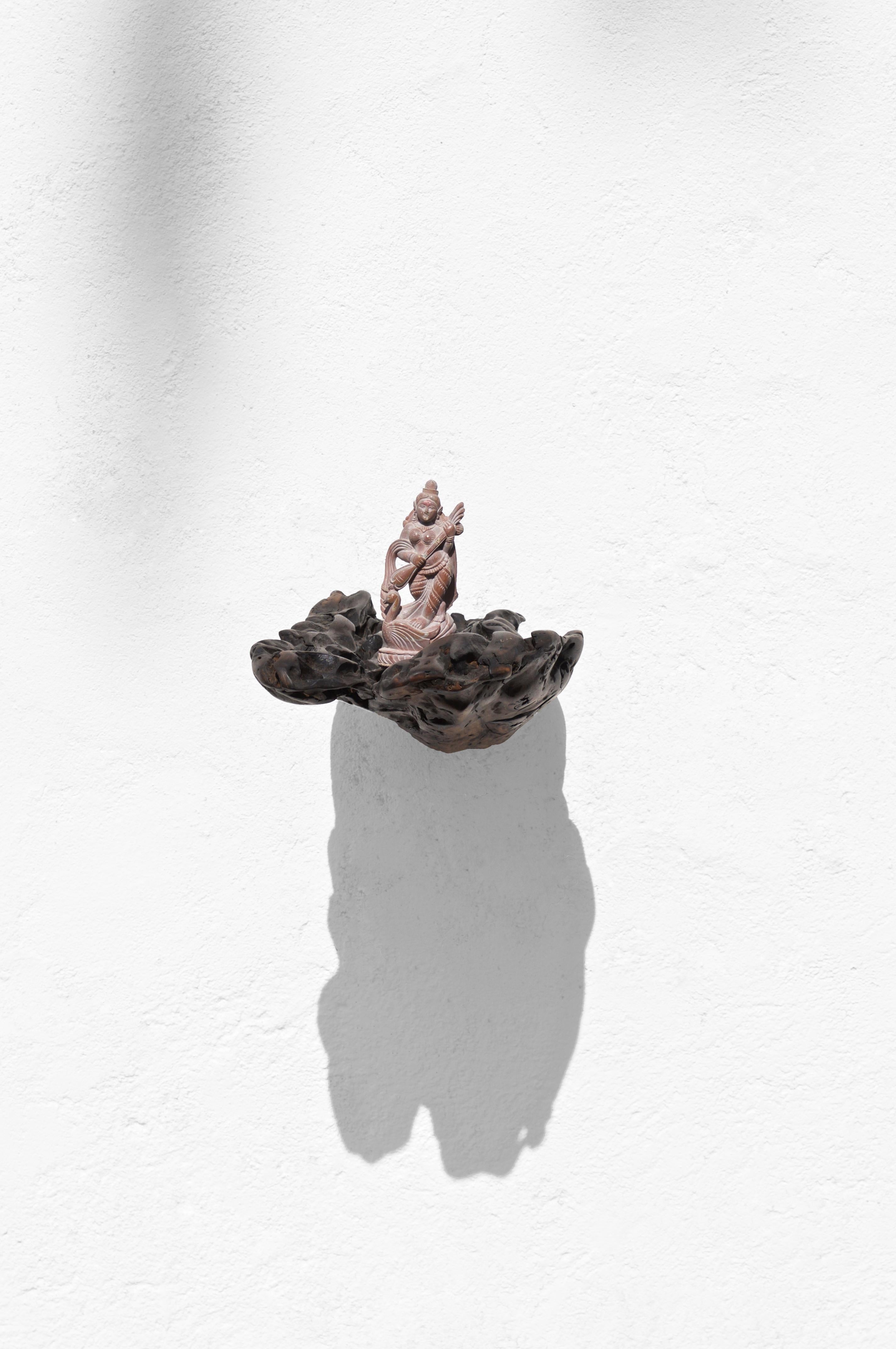 W2280 Wall Hanging Shelf in Trop. Driftwood by Jörg Pietschmann In Excellent Condition For Sale In Geneve, CH