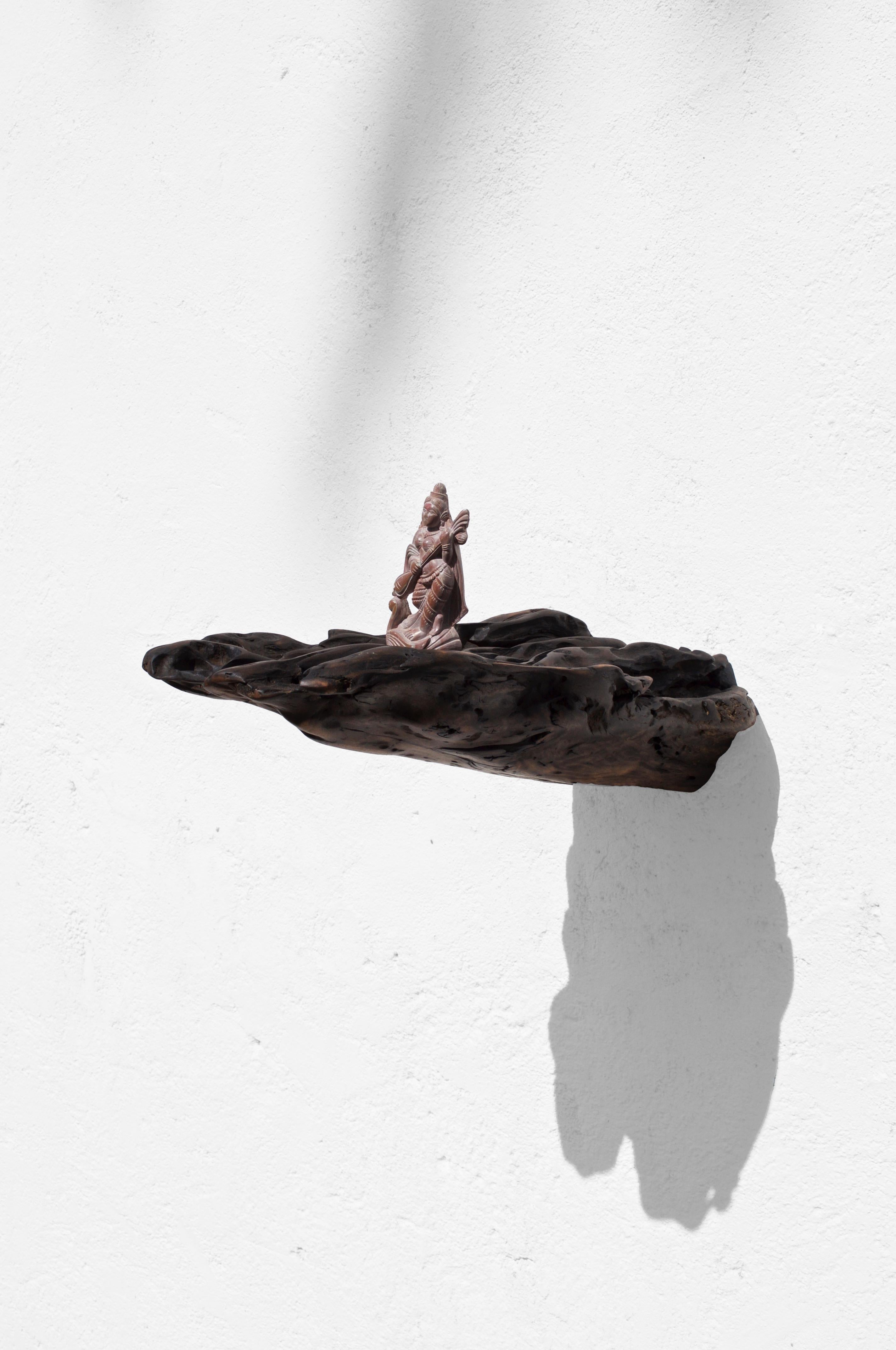 Contemporary W2280 Wall Hanging Shelf in Trop. Driftwood by Jörg Pietschmann For Sale