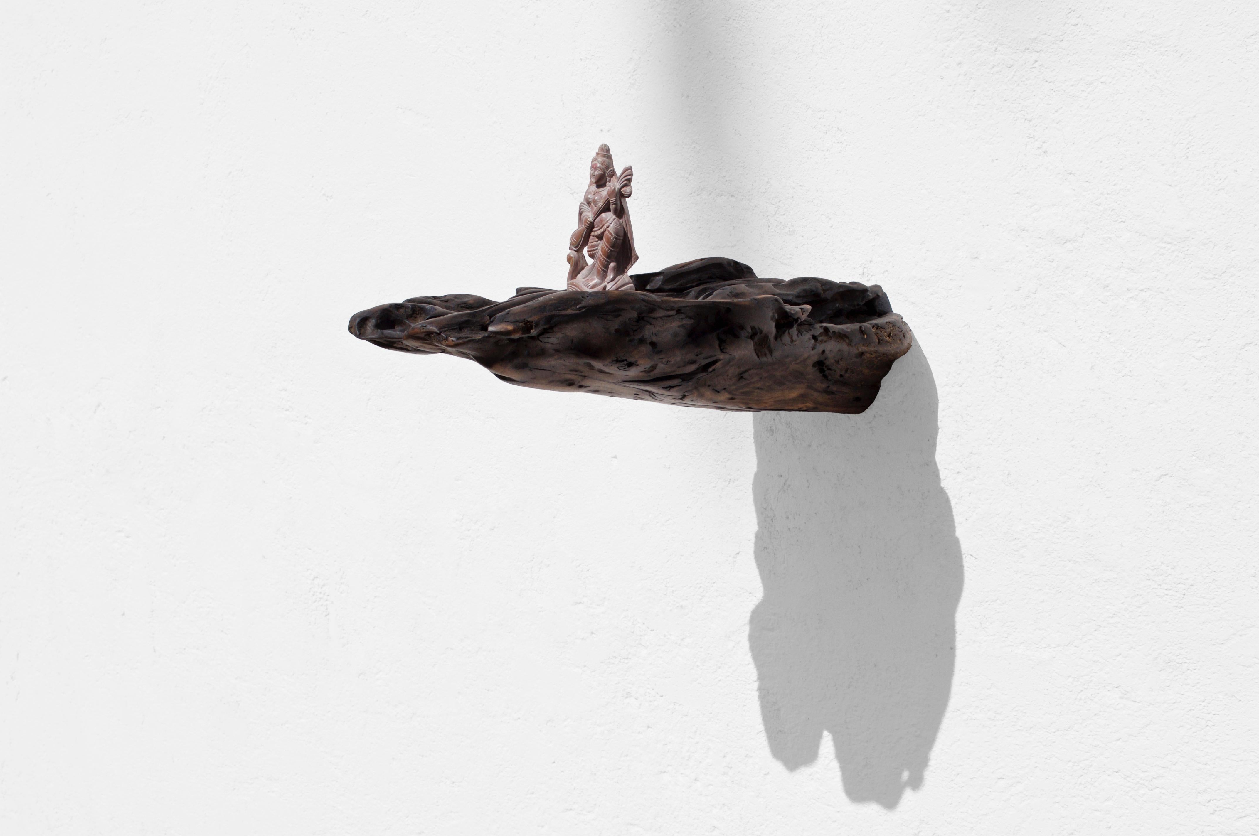 W2280 Wall Hanging Shelf in Trop. Driftwood by Jörg Pietschmann For Sale 1