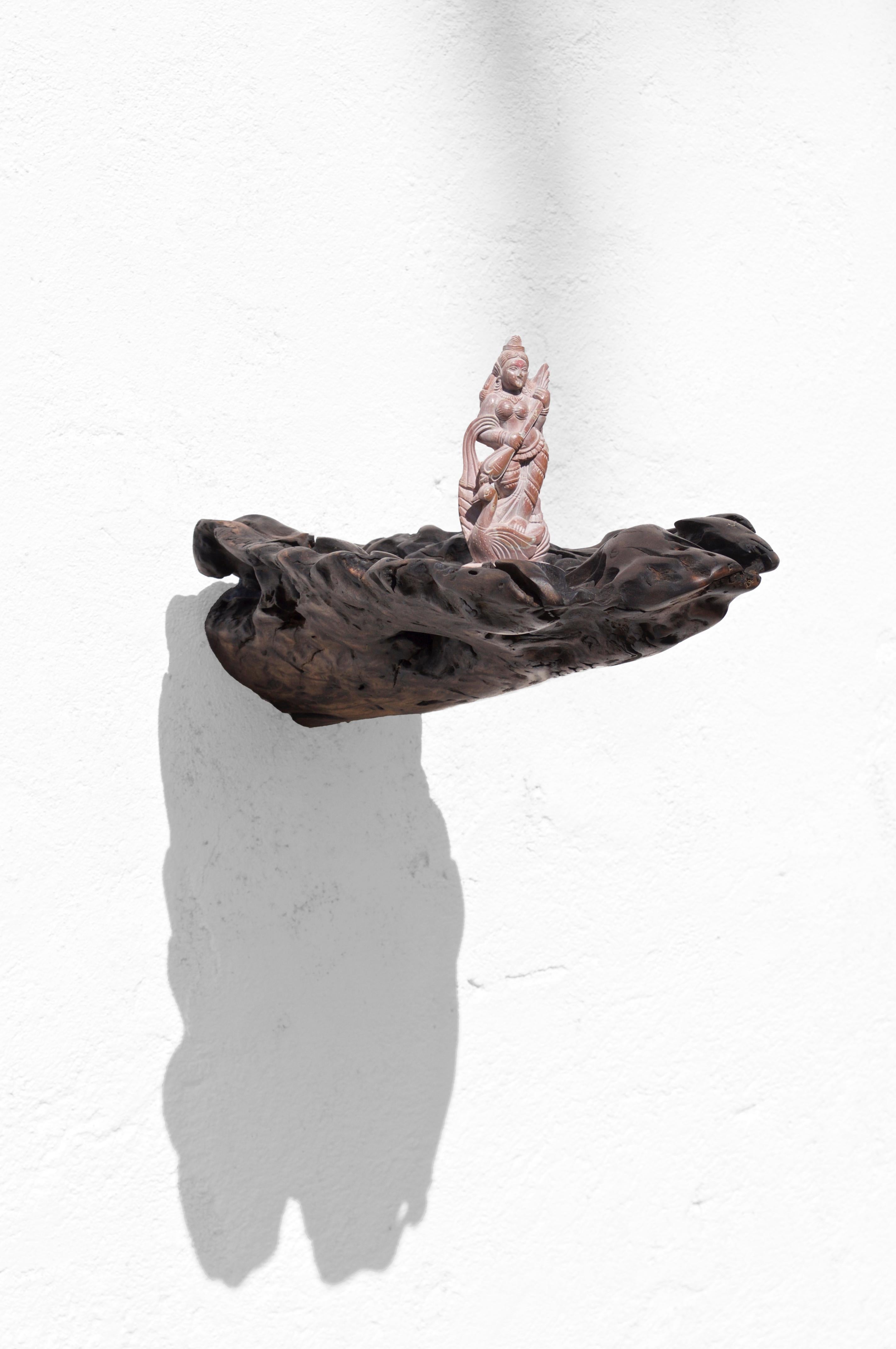 W2280 Wall Hanging Shelf in Trop. Driftwood by Jörg Pietschmann For Sale 2