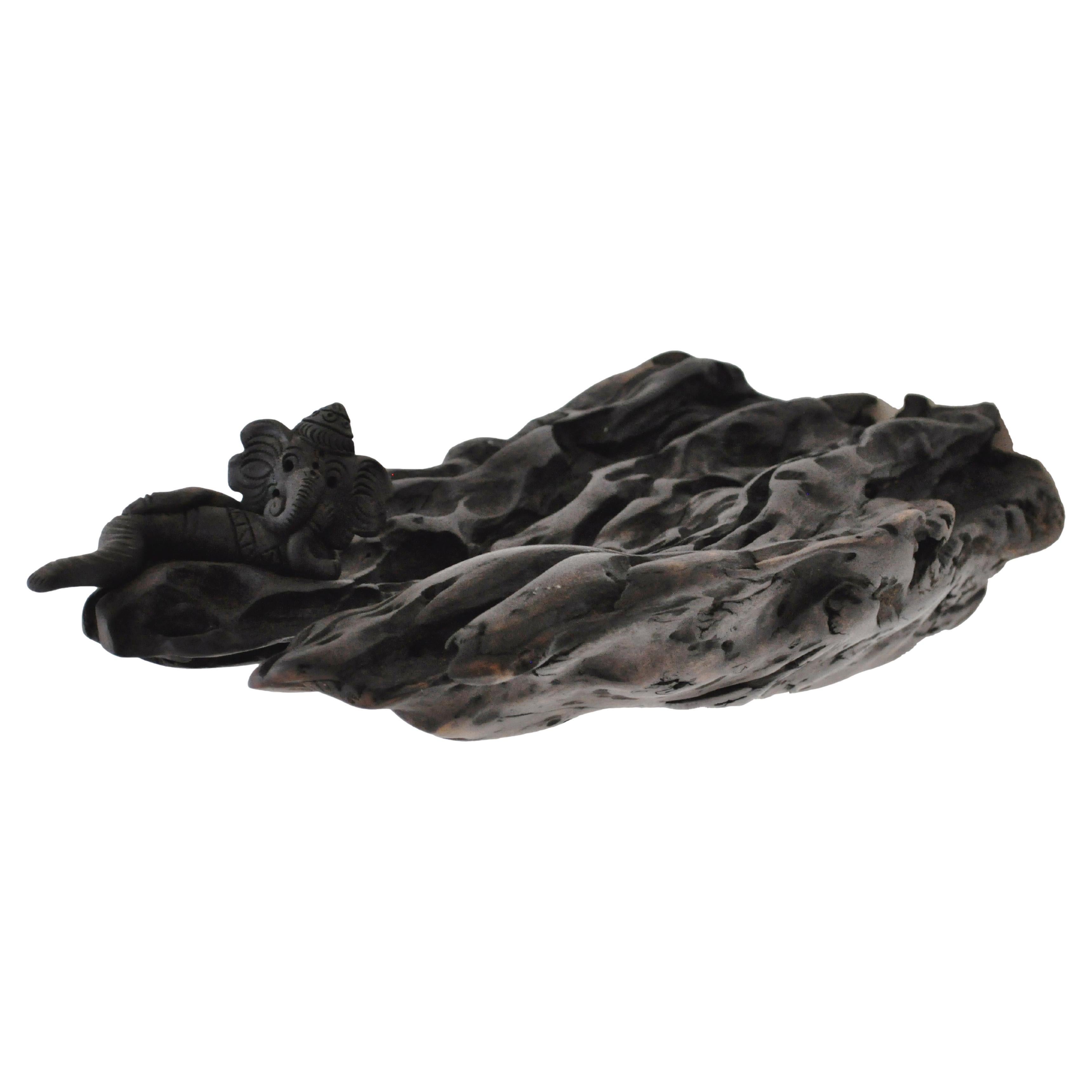 W2280 Wall Hanging Shelf in Trop. Driftwood by Jörg Pietschmann