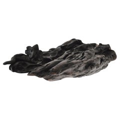 W2280 Wall Hanging Shelf in Trop. Driftwood by Jörg Pietschmann