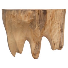 W2310 Wall Hanging Shelf in Natural Poplar Wood by Jörg Pietschmann
