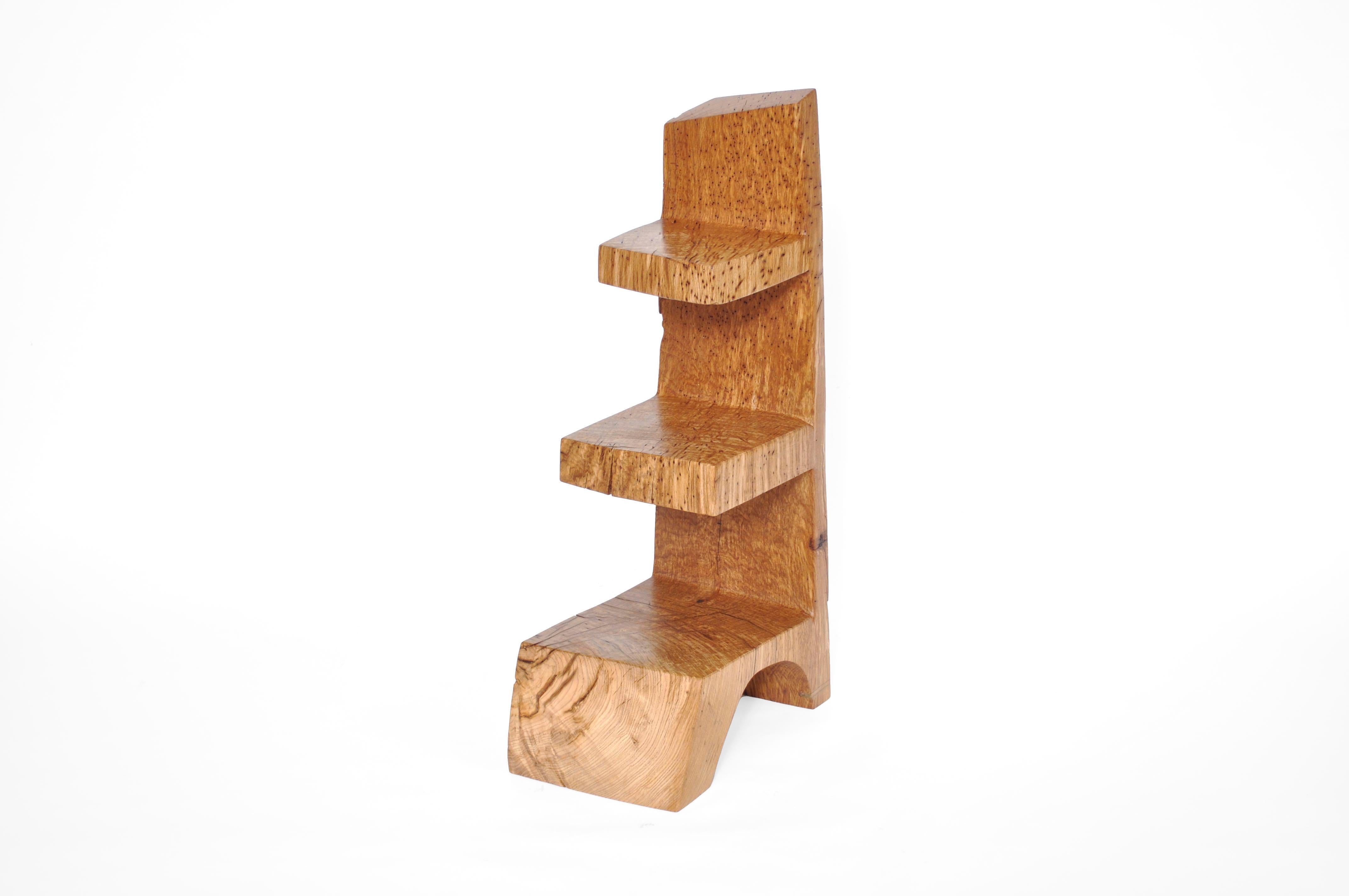 W2343 Vertical Bookcase in Oak Wood by Jörg Pietschmann For Sale 4