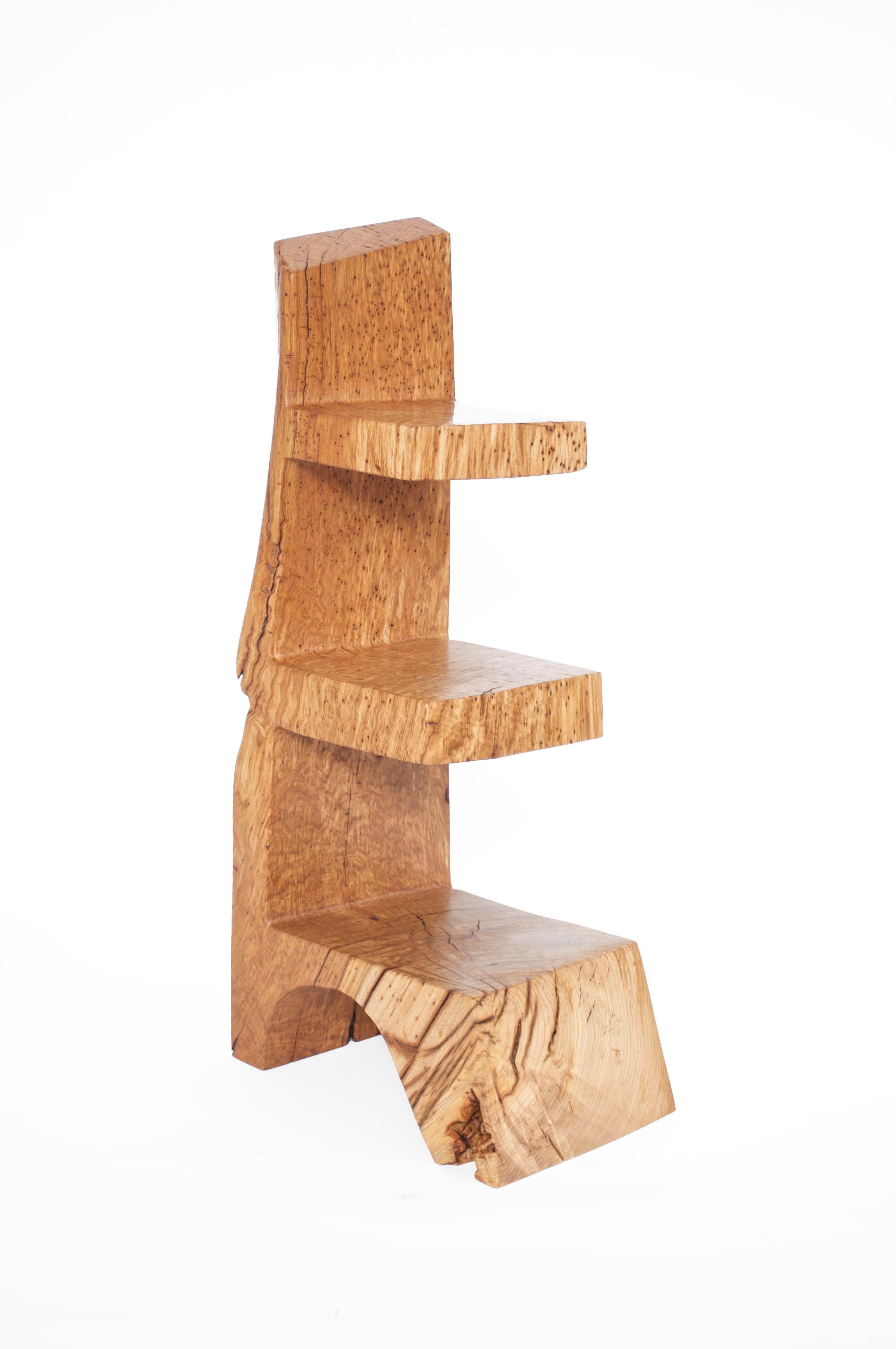 W2343 Vertical Bookcase in Oak Wood by Jörg Pietschmann For Sale 2