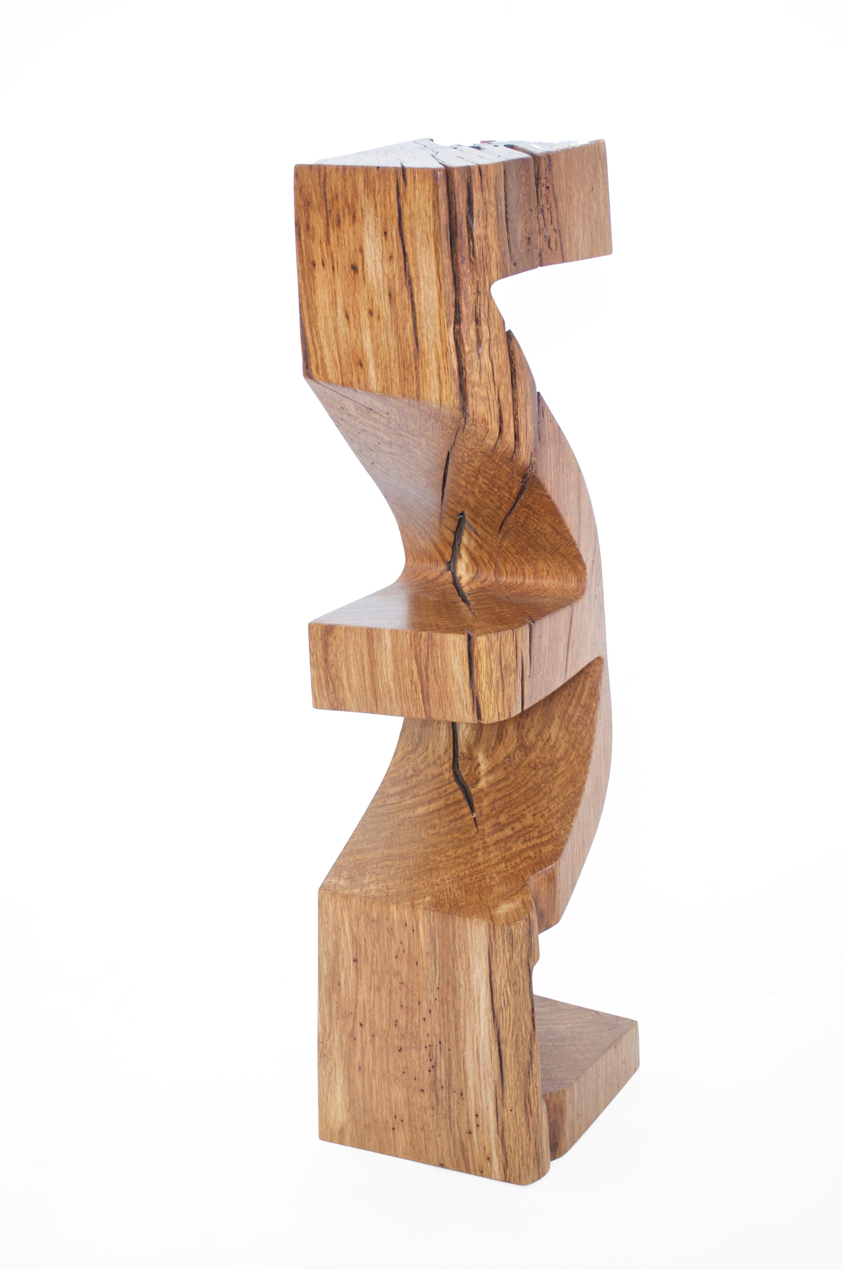 W2355 Libreria decorativa verticale in Wood Oak di Jörg Pietschmann in vendita 6