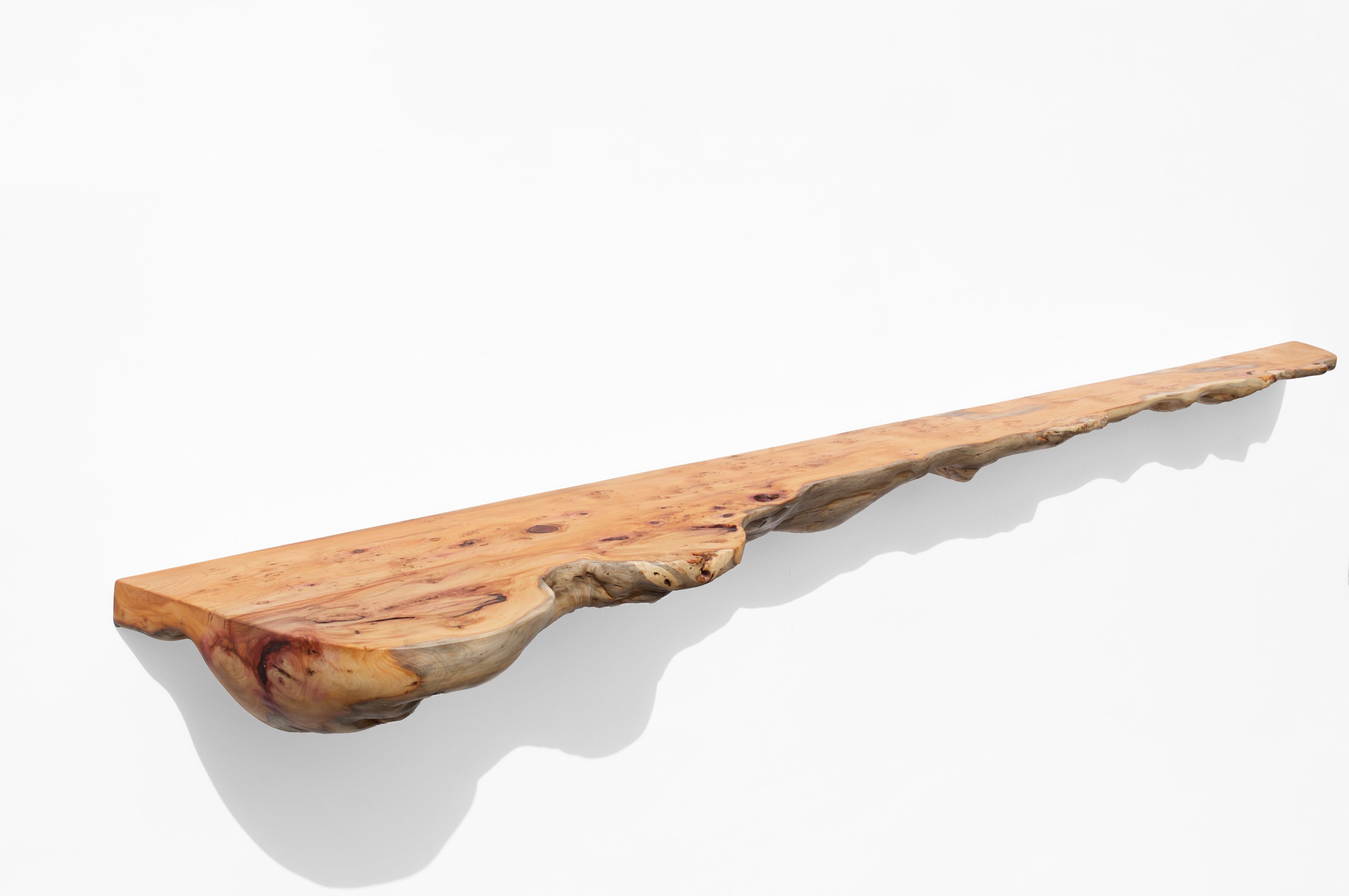 W2360 Wall Hanging Shelf in Yew Wood by Jörg Pietschmann
Dimensions: D 32,5 x W 206 x H 11 cm.
Materials: Yew wood.

All wall shelves include steel pin holders for discreet mounting. Please contact us.

In Pietschmann’s sculptures, trees that for