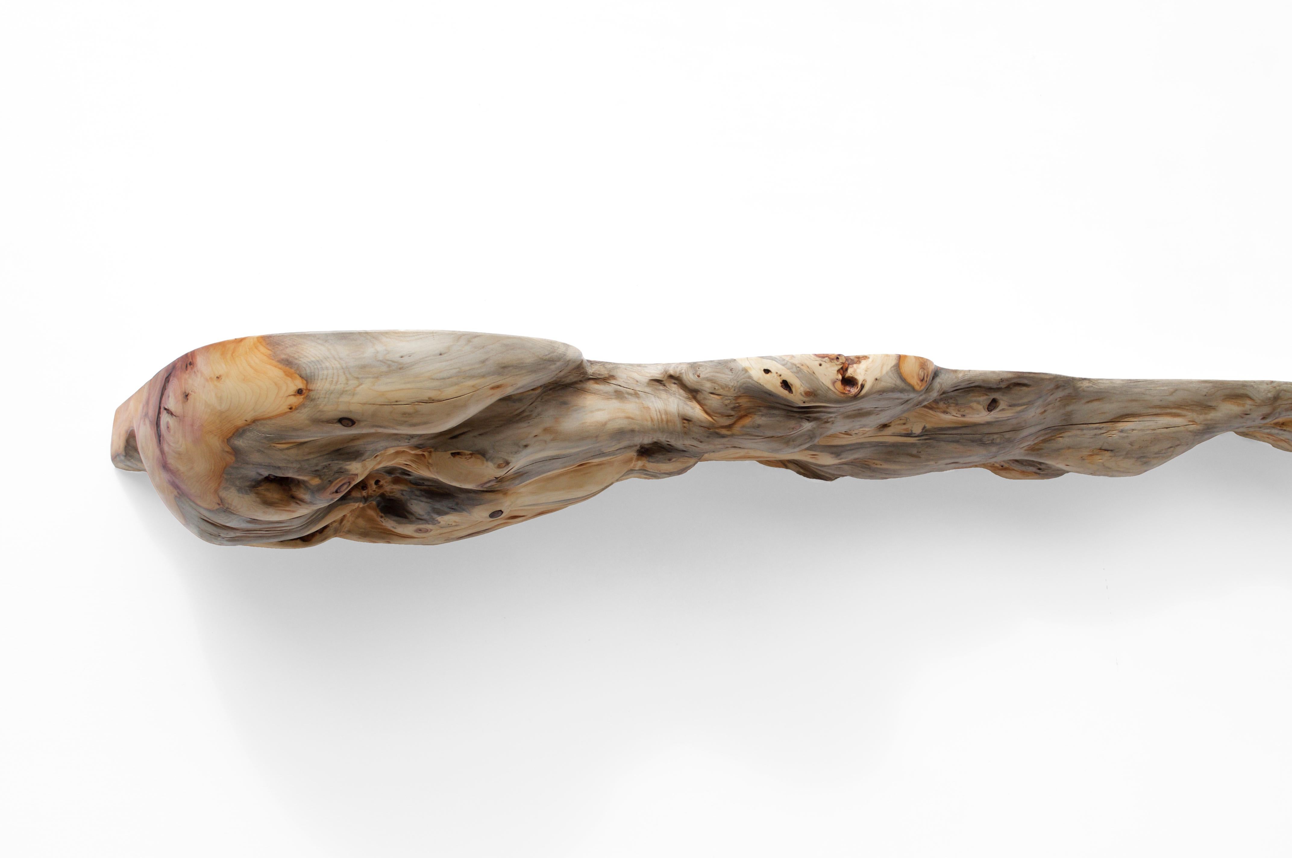 Other W2360 Wall Hanging Shelf in Yew Wood by Jörg Pietschmann For Sale