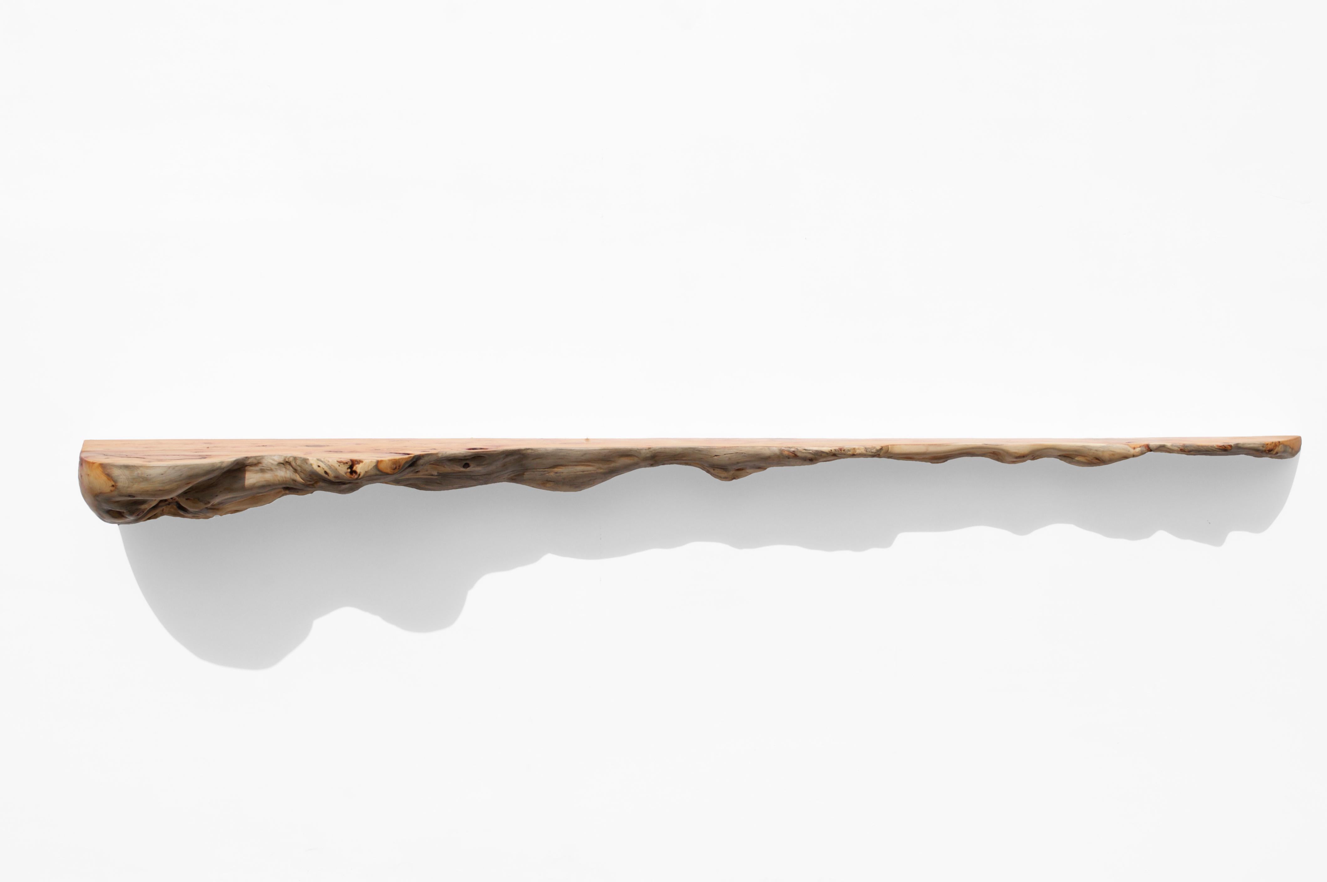 Contemporary W2360 Wall Hanging Shelf in Yew Wood by Jörg Pietschmann For Sale