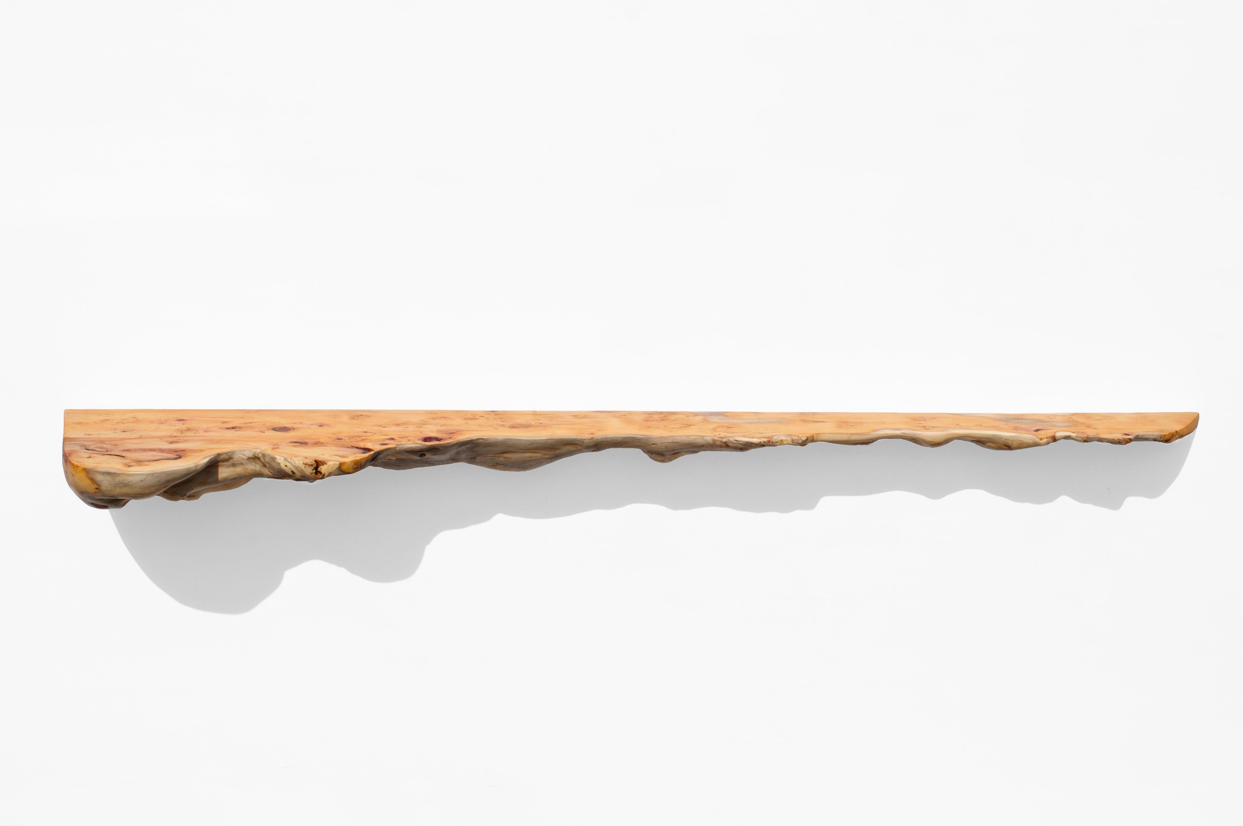 W2360 Wall Hanging Shelf in Yew Wood by Jörg Pietschmann For Sale 1