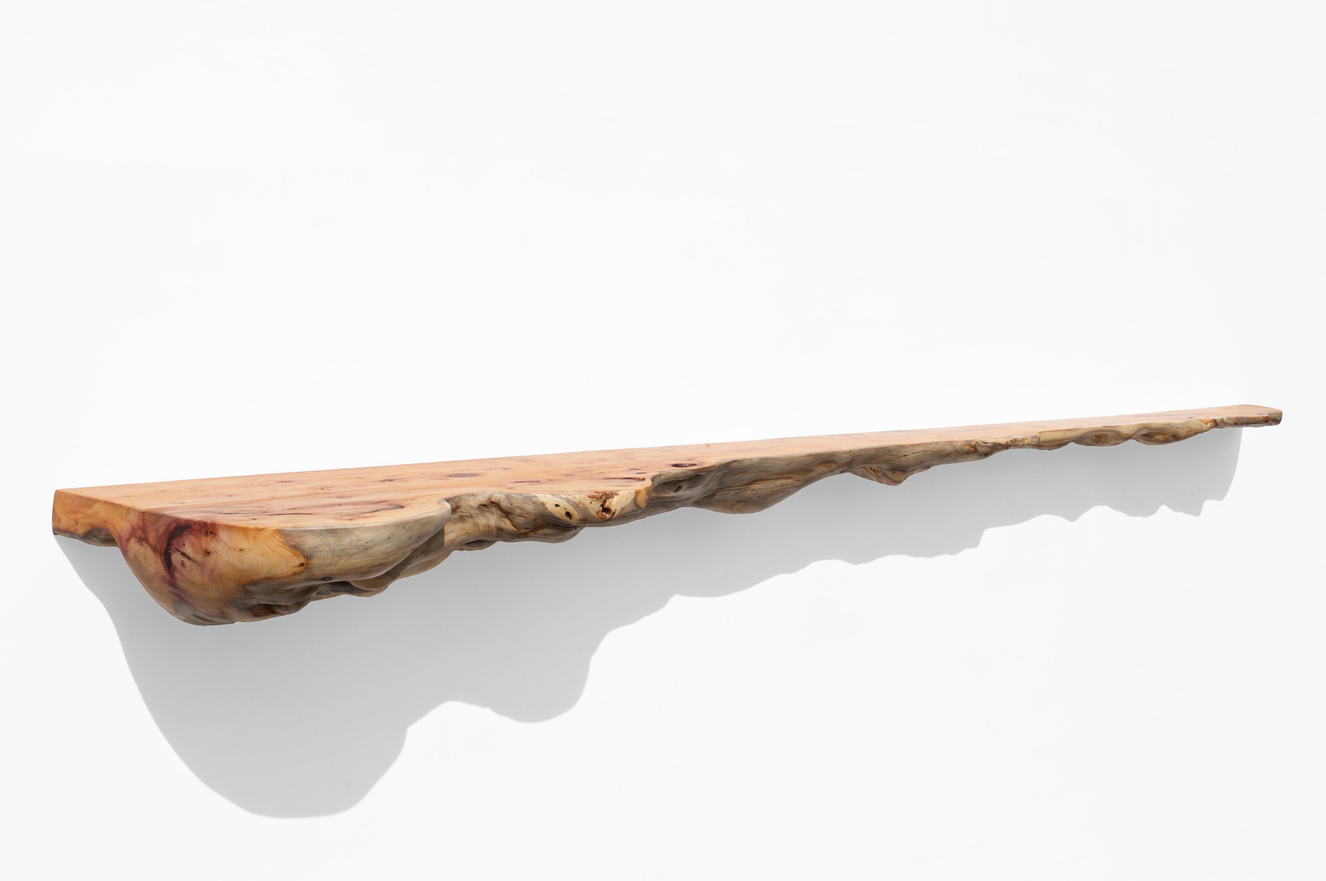 W2360 Wall Hanging Shelf in Yew Wood by Jörg Pietschmann For Sale 2