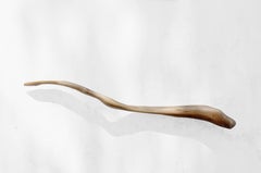 W2373 Wall Hanging Shelf in Oak Wood by Jörg Pietschmann
