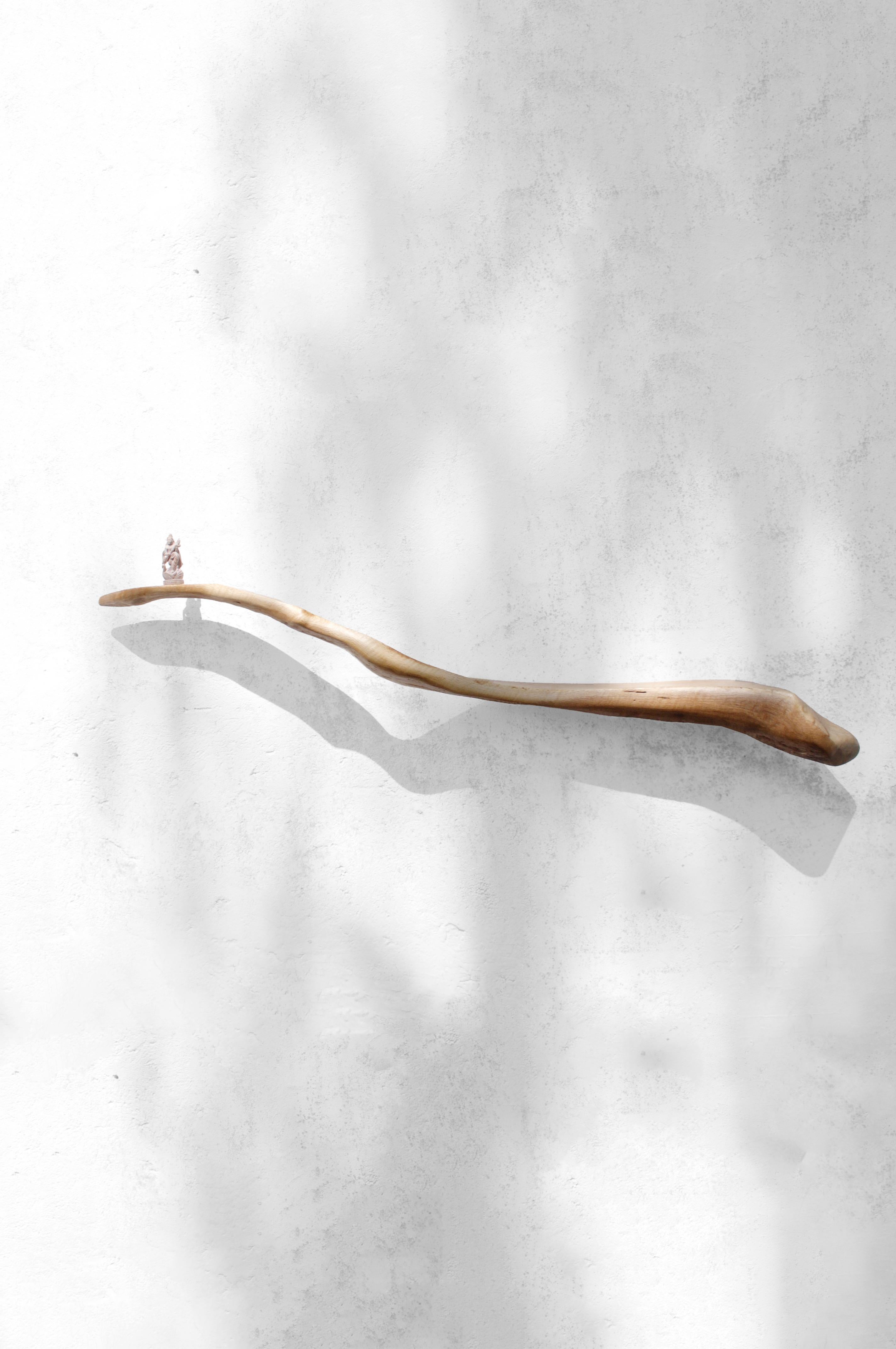 Contemporary W2373 Wall Hanging Shelf in Oak Wood by Jörg Pietschmann For Sale