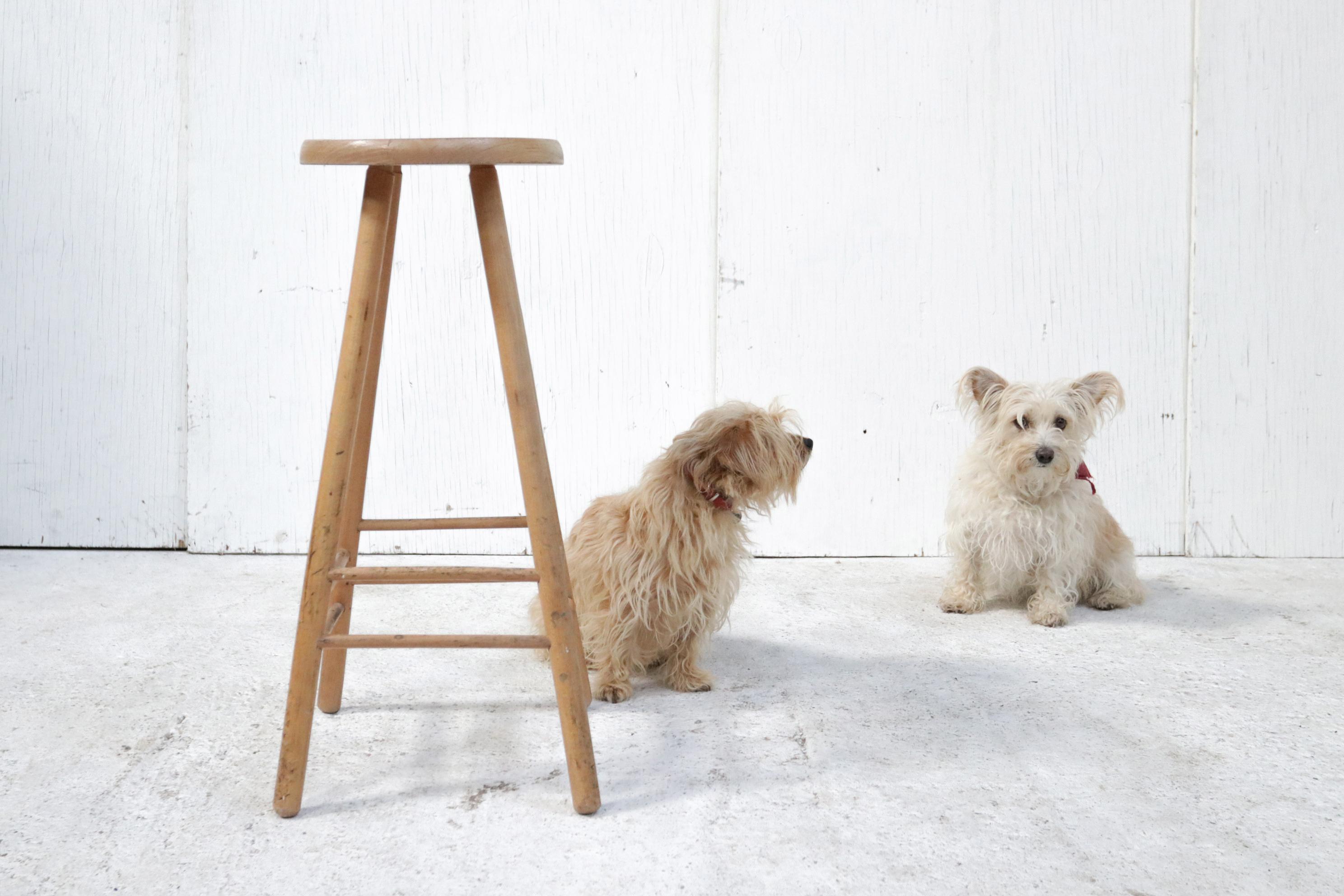 Very nice high stool made of beech wood.
Has a nice rough yet slim appearance.

Keywords, Durable, Raw, Wabi Sabi, Perfect imperfection, Wood, Nature, Blonde.
