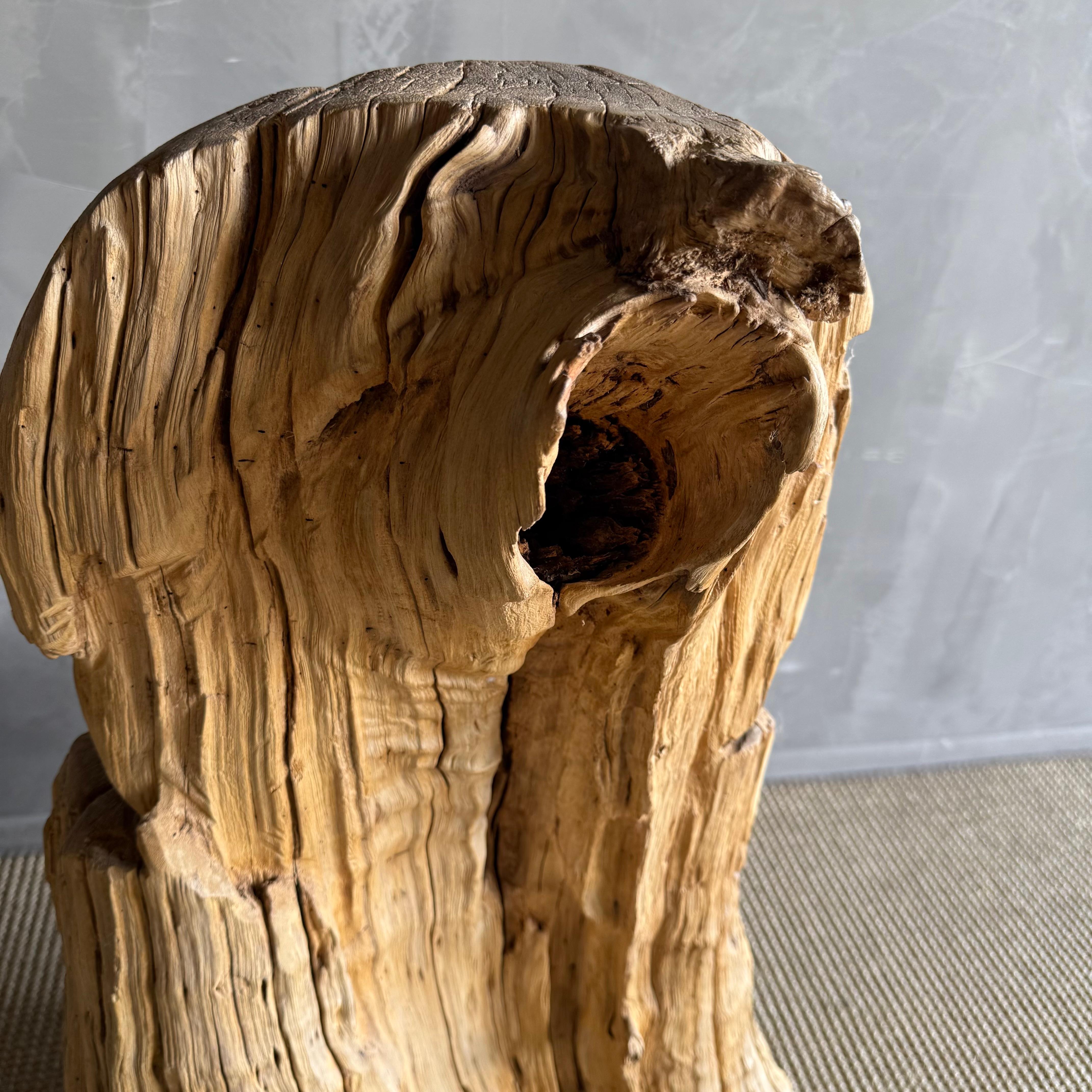 Wabi Sabi geschnitzter Baumstamm Stuhl Einzigartig im Angebot 6