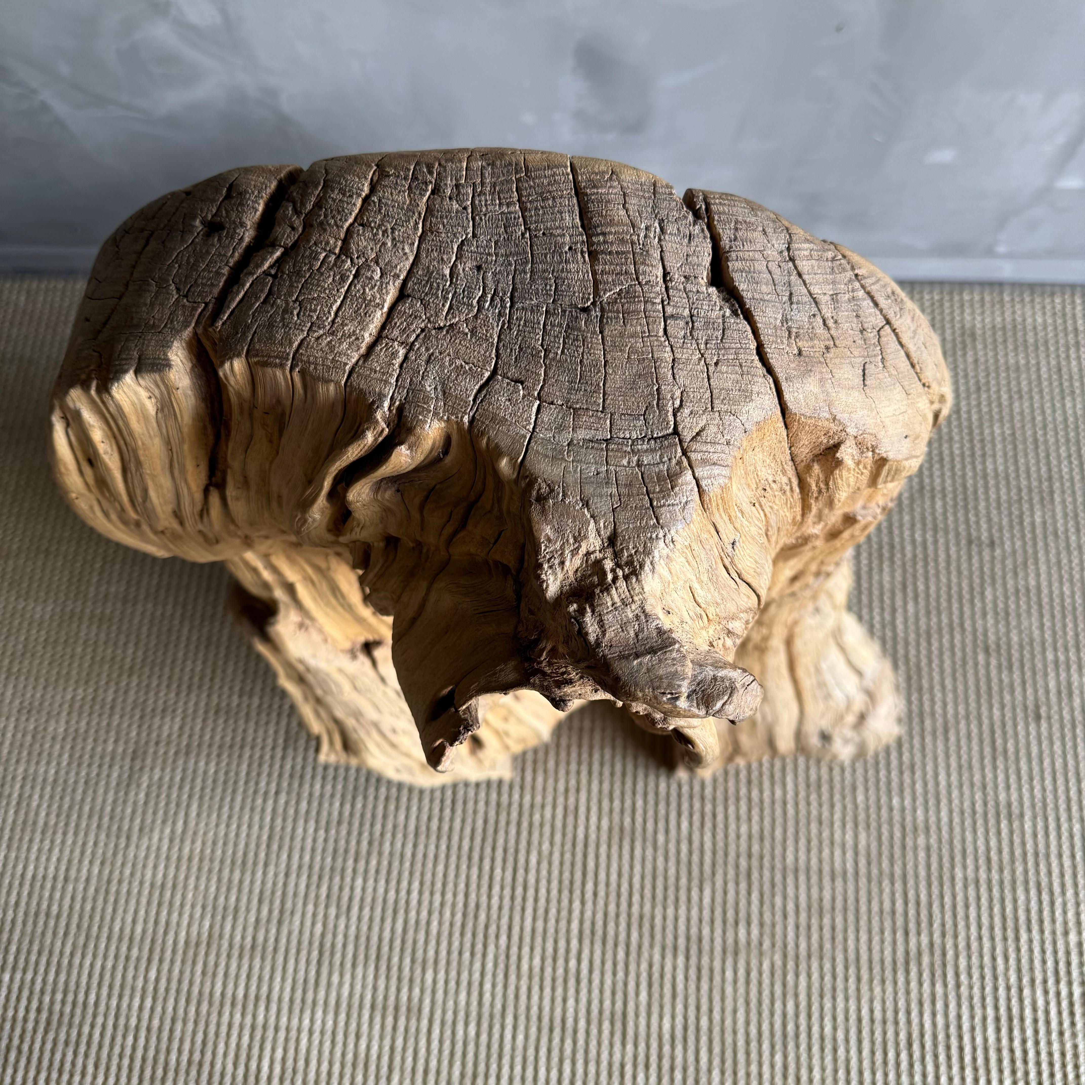 Wabi Sabi geschnitzter Baumstamm Stuhl Einzigartig im Angebot 7