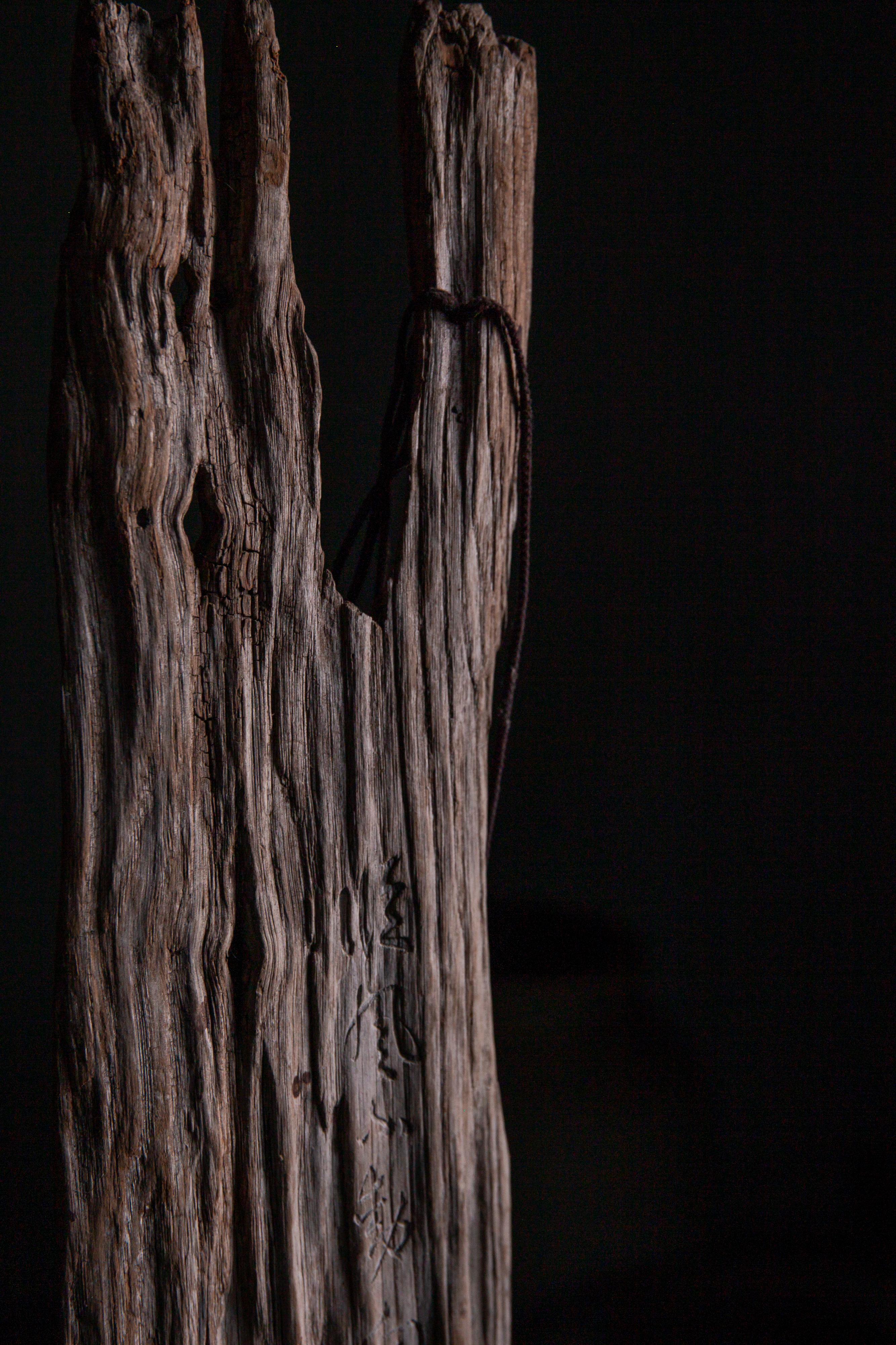 wabi sabi reclaimed boat wood wall decor, bamboos engraved. circa 1870s-1920s For Sale 1