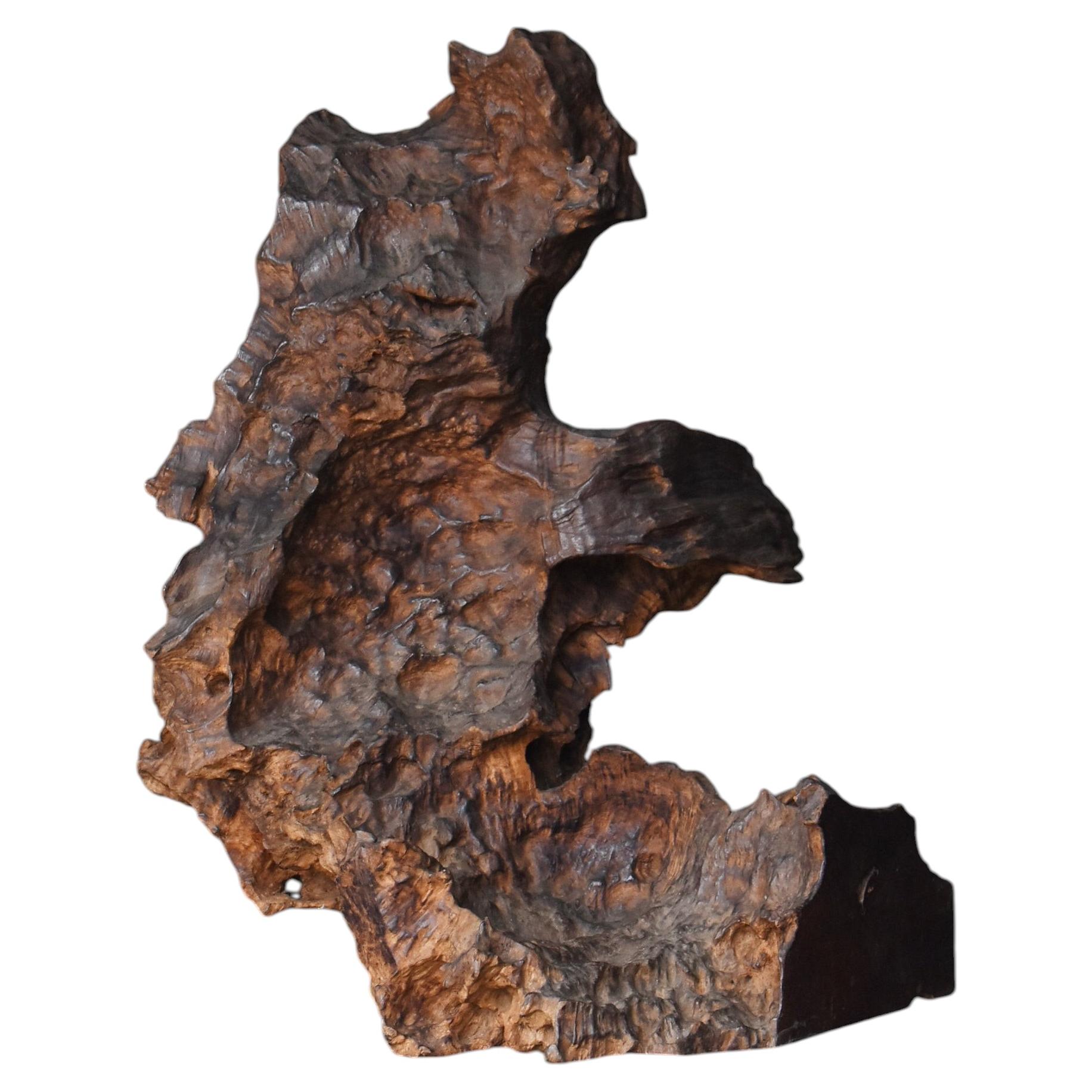Wabi-Sabi Japanese Zelkova Burl Sculpture 1950s-1970s / Wood Object