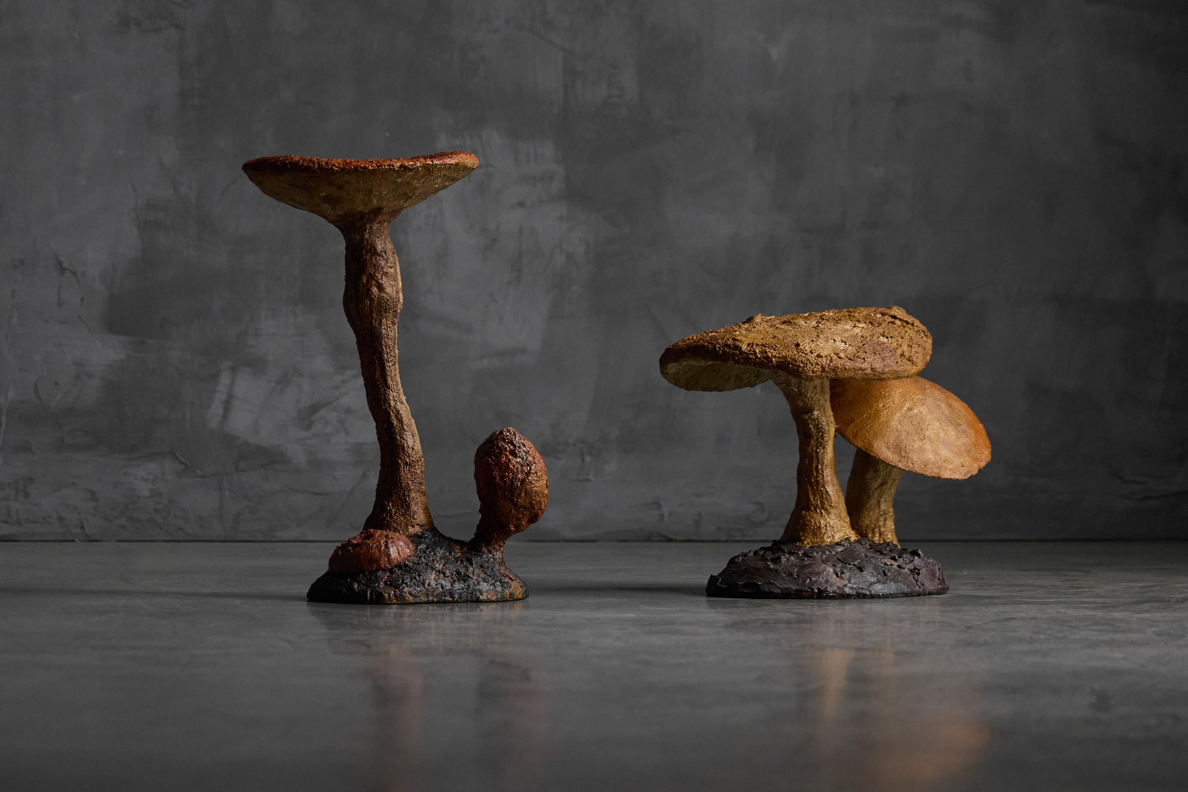 Estas esculturas de setas hechas a mano encarnan la estética wabi-sabi, celebrando la imperfección, el equilibrio y la tranquila belleza de las formas naturales. Cada pieza presenta tallos texturizados y amplios capuchones, que capturan la esencia