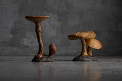 Wabi Sabi Mushroom Sculptures, France, Late 20th Century