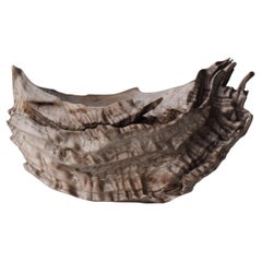Wabi-Sabi Old Natural Pine Wood Bowl Late 19th Century / Japan