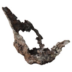 Wabi-Sabi Old Naturally Growing Tree Object Late 19th Century / Japan