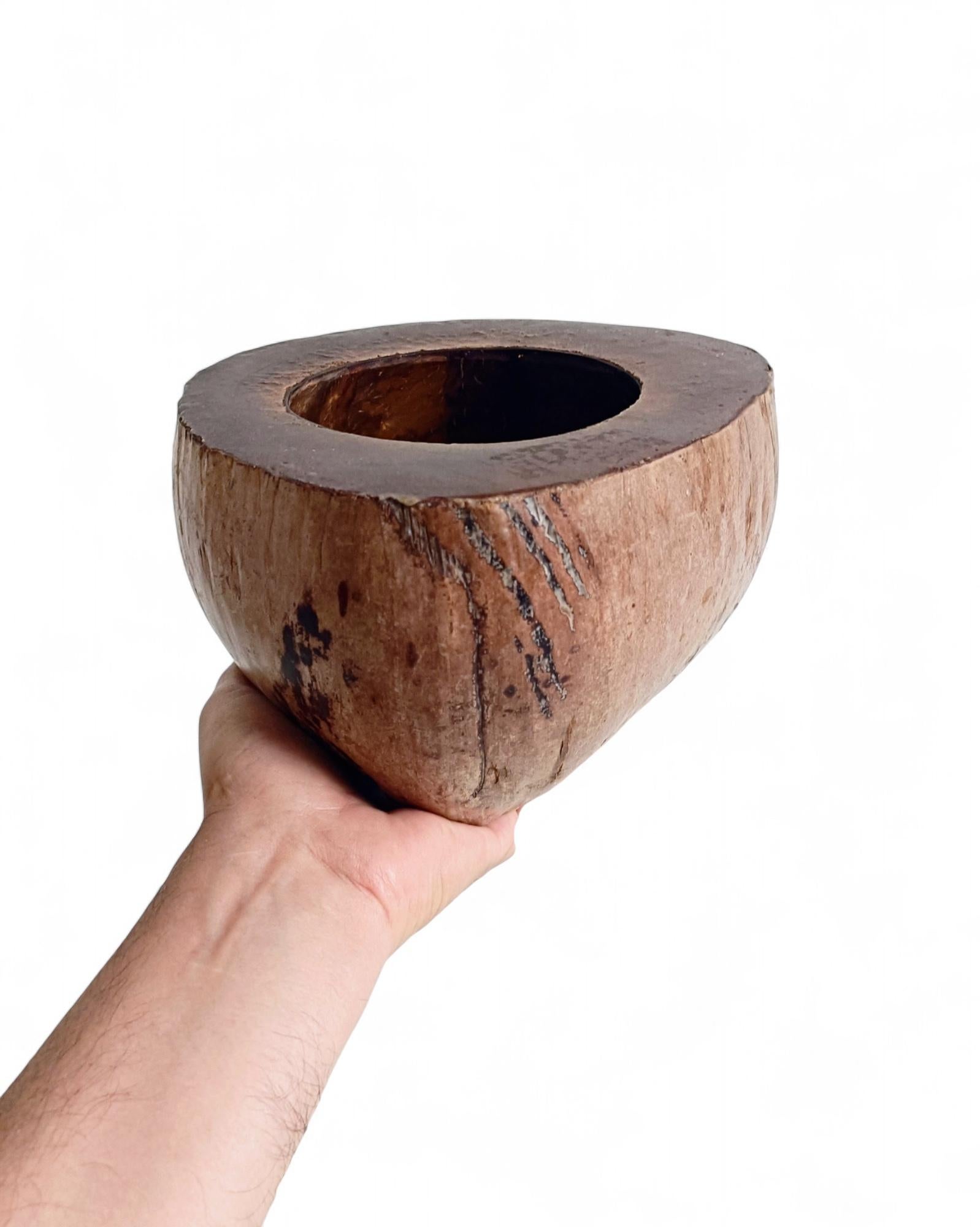 Wabi Sabi Moderno y Ecológico Captador / Centro de Mesa de Coco de Mer, Francia, S. XIX en venta 3