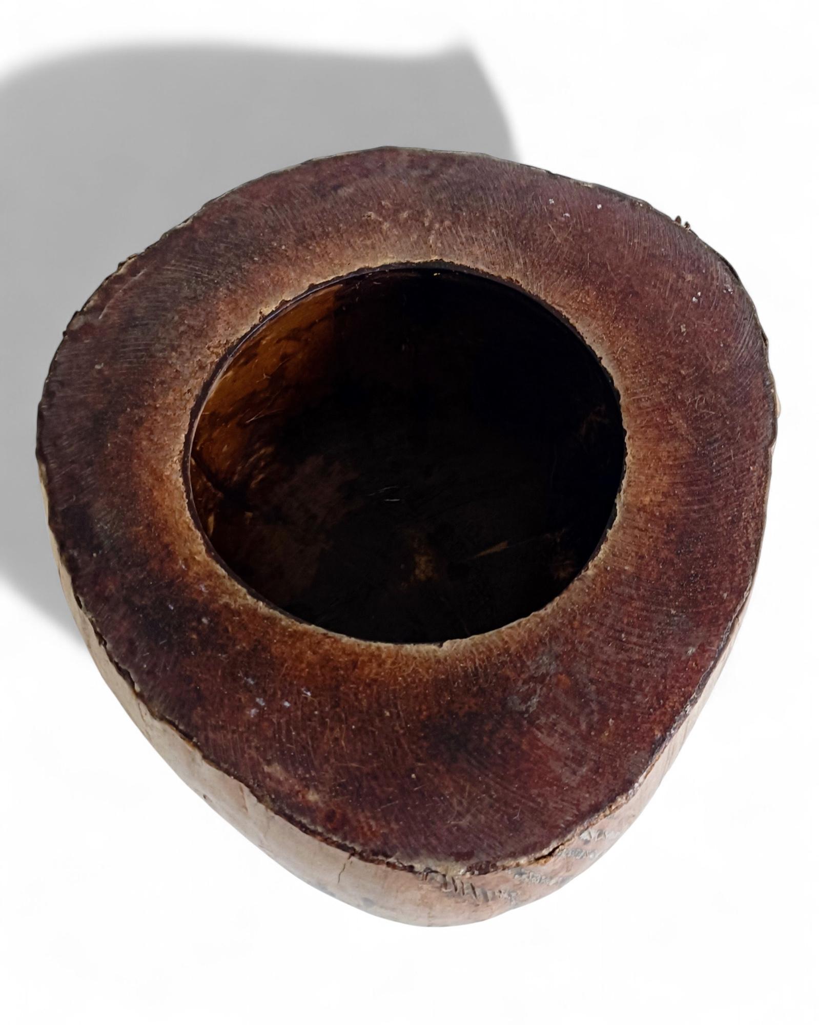 Wabi Sabi Moderno y Ecológico Captador / Centro de Mesa de Coco de Mer, Francia, S. XIX en venta 4