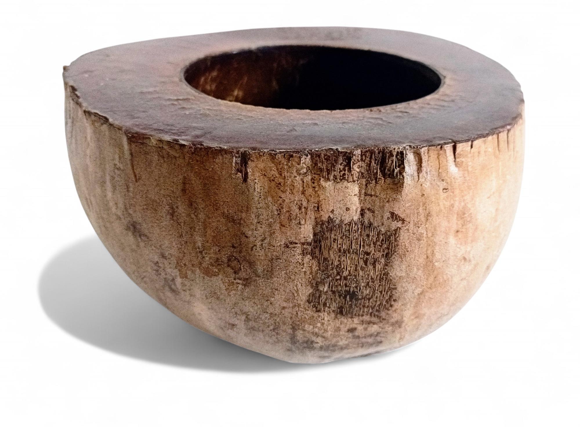 Wabi Sabi Moderno y Ecológico Captador / Centro de Mesa de Coco de Mer, Francia, S. XIX en venta 6