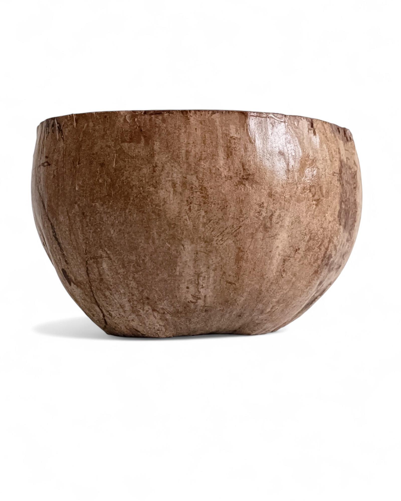 Wabi Sabi Moderno y Ecológico Captador / Centro de Mesa de Coco de Mer, Francia, S. XIX en venta 7