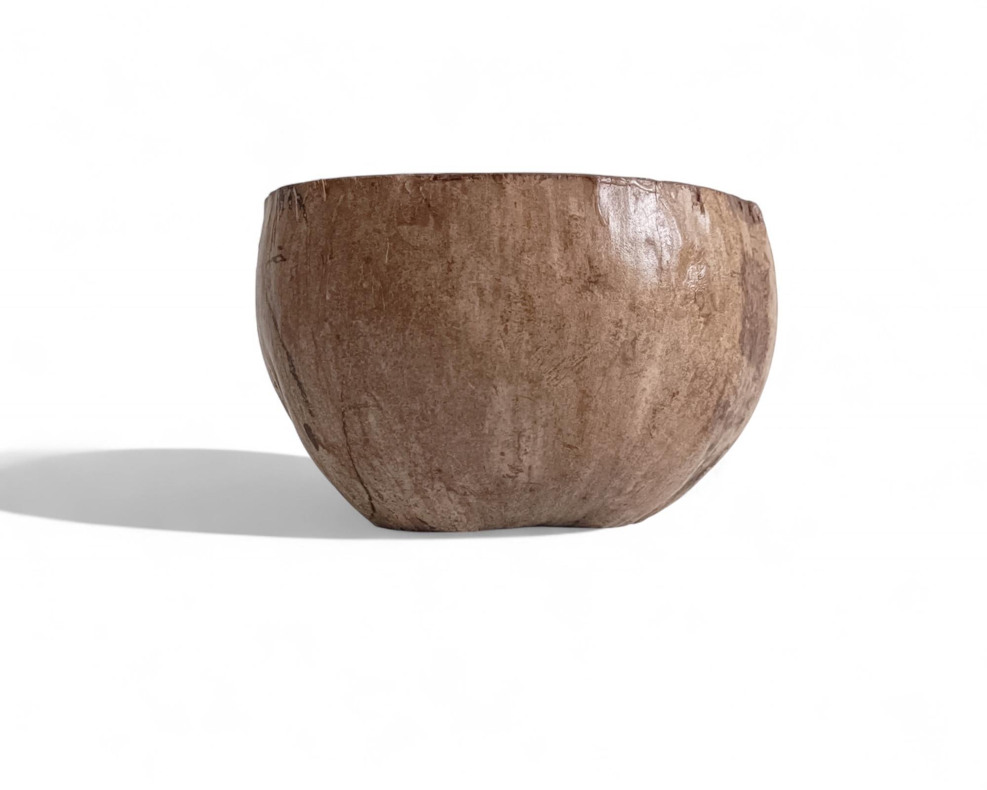 Wabi Sabi Moderno y Ecológico Captador / Centro de Mesa de Coco de Mer, Francia, S. XIX en venta 8