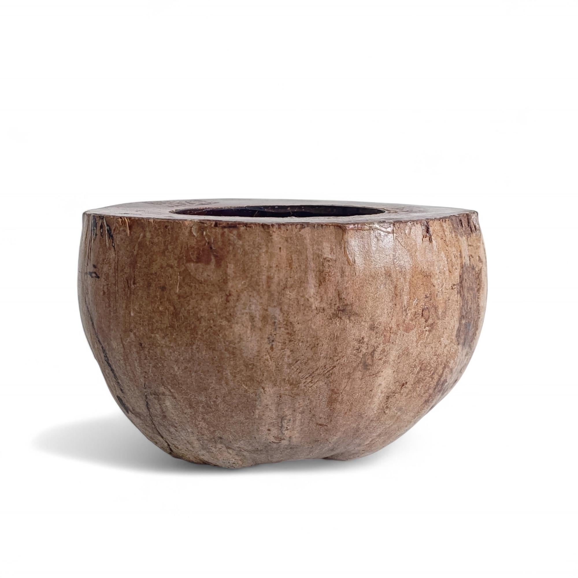 Wabi Sabi Moderno y Ecológico Captador / Centro de Mesa de Coco de Mer, Francia, S. XIX en venta 9