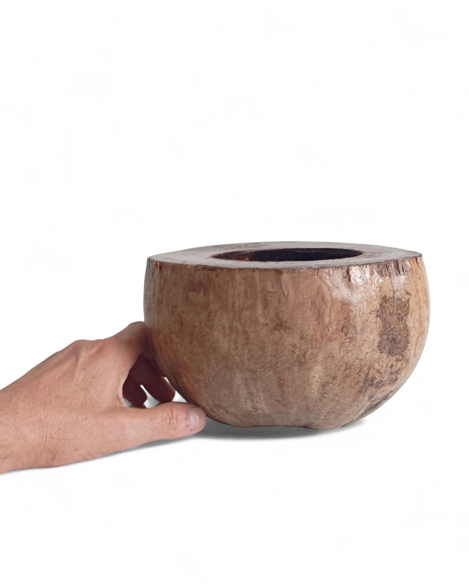 Wabi Sabi Moderno y Ecológico Captador / Centro de Mesa de Coco de Mer, Francia, S. XIX en venta 10