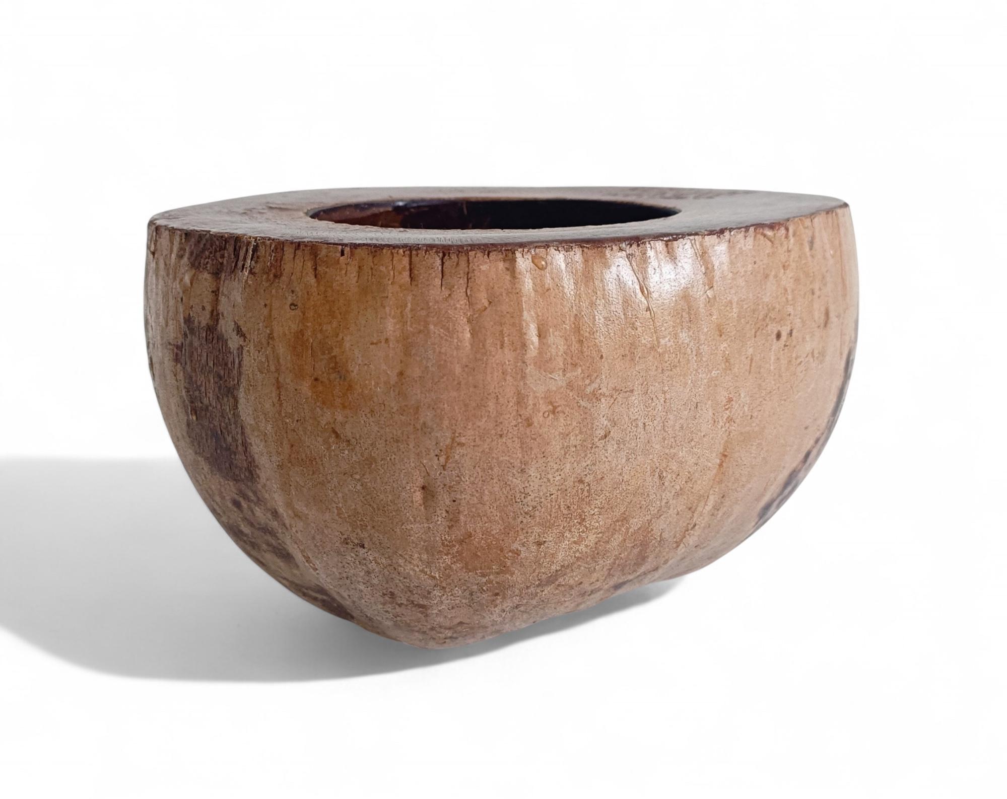 Wabi Sabi Moderno y Ecológico Captador / Centro de Mesa de Coco de Mer, Francia, S. XIX Moderno orgánico en venta