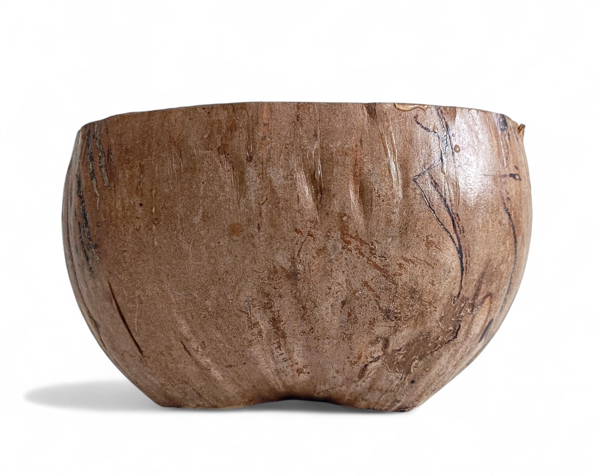 Wabi Sabi Moderno y Ecológico Captador / Centro de Mesa de Coco de Mer, Francia, S. XIX Francés en venta