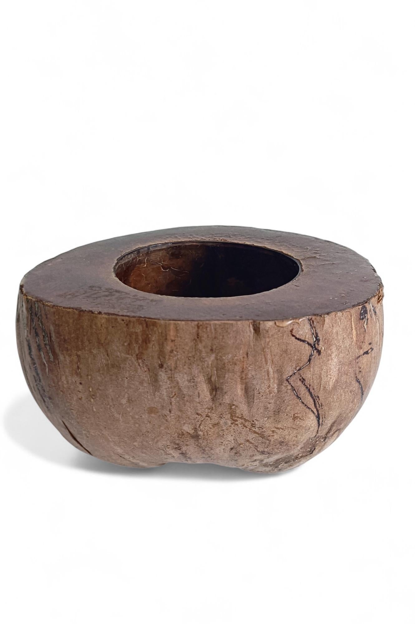 Wabi Sabi Moderno y Ecológico Captador / Centro de Mesa de Coco de Mer, Francia, S. XIX Hecho a mano en venta