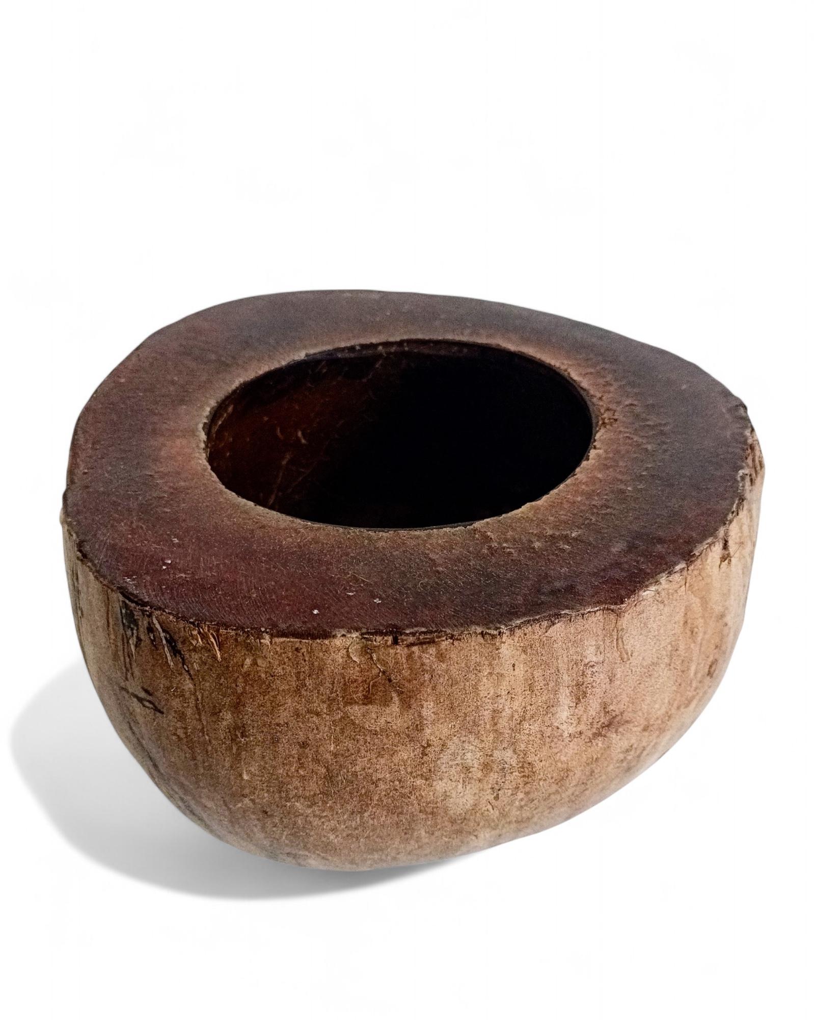 Wabi Sabi Moderno y Ecológico Captador / Centro de Mesa de Coco de Mer, Francia, S. XIX en Excelente estado para la venta en Valencia, VC
