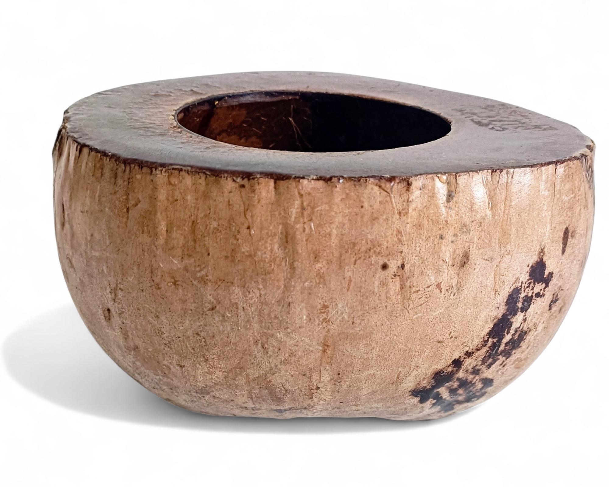 Wabi Sabi Moderno y Ecológico Captador / Centro de Mesa de Coco de Mer, Francia, S. XIX siglo XIX en venta