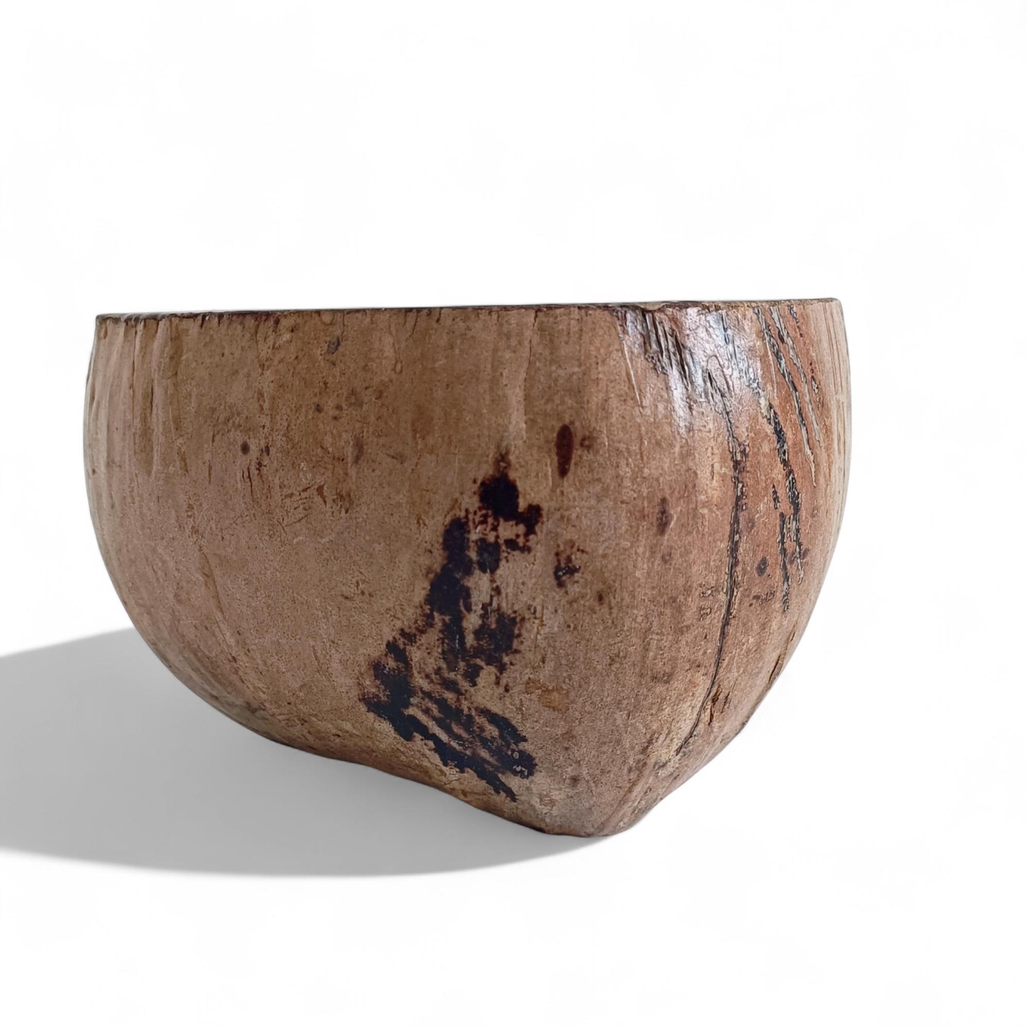 Wabi Sabi Moderno y Ecológico Captador / Centro de Mesa de Coco de Mer, Francia, S. XIX en venta 1
