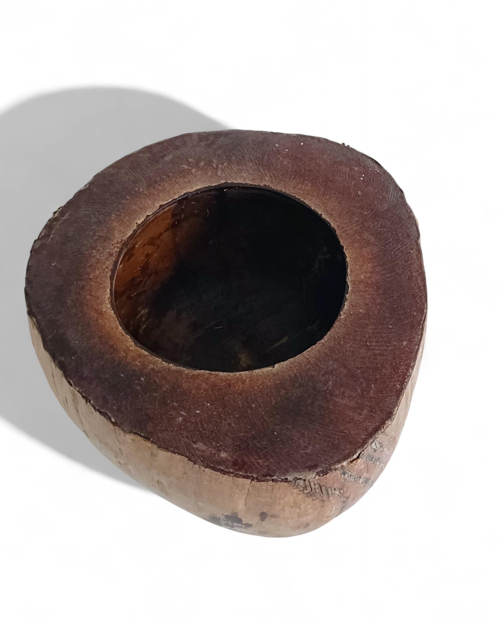 Wabi Sabi Moderno y Ecológico Captador / Centro de Mesa de Coco de Mer, Francia, S. XIX en venta 2
