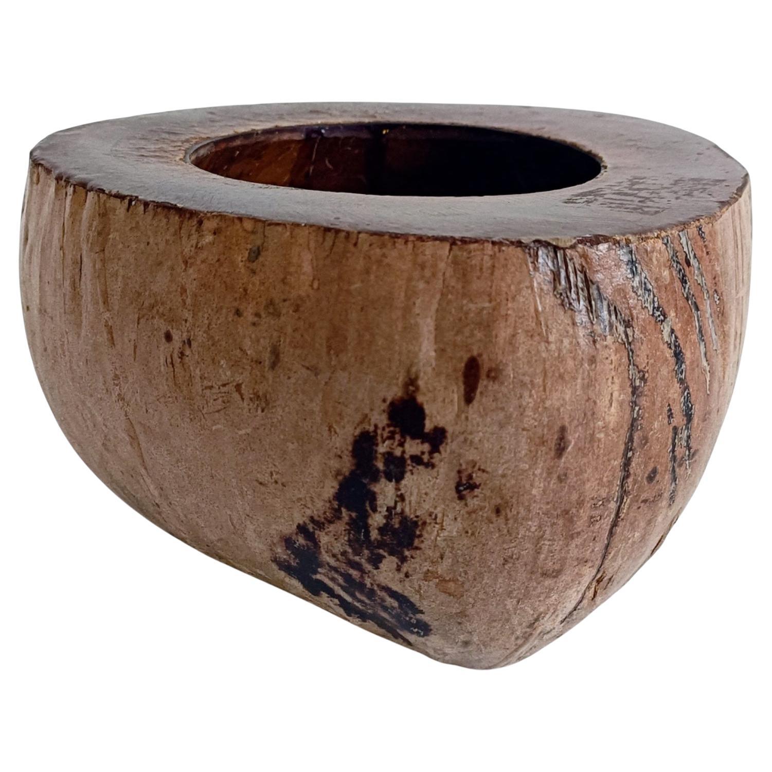 Wabi Sabi Moderno y Ecológico Captador / Centro de Mesa de Coco de Mer, Francia, S. XIX en venta