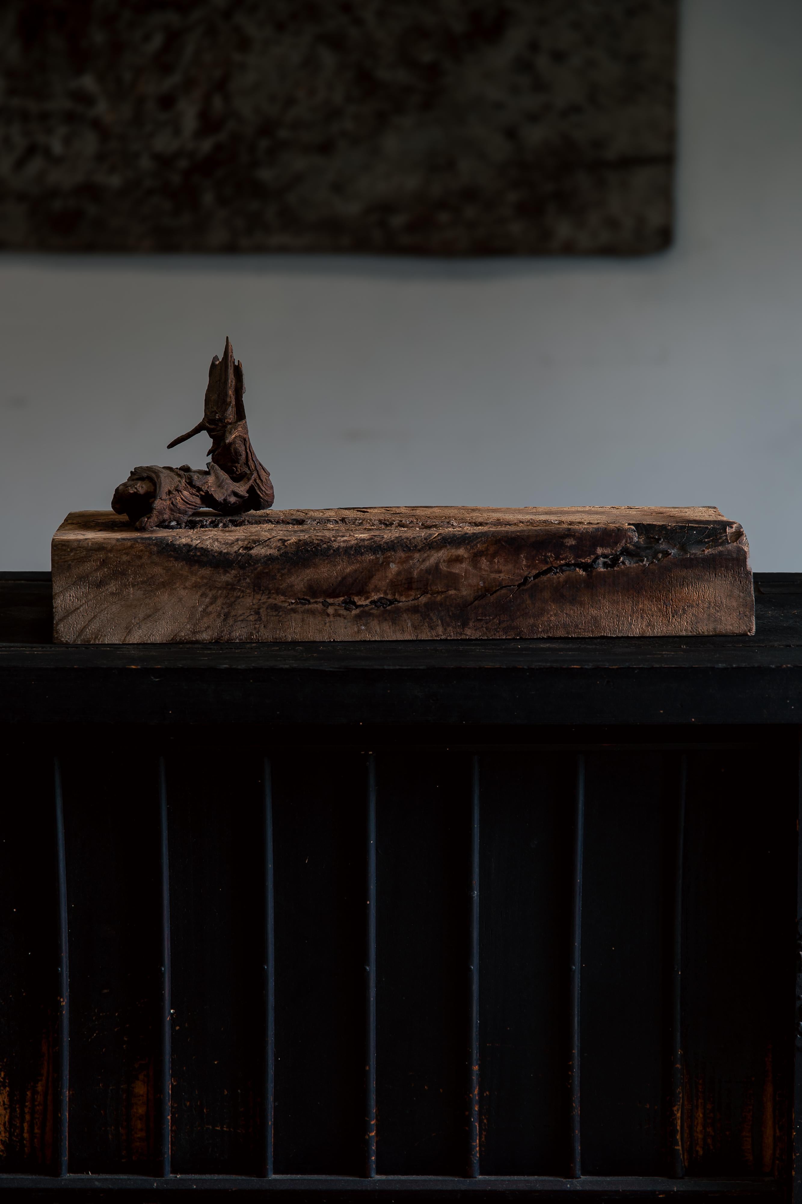 scultura in legno giapponese rustica wabi sabi, espositore astratto Dai, bonsai in vendita 5