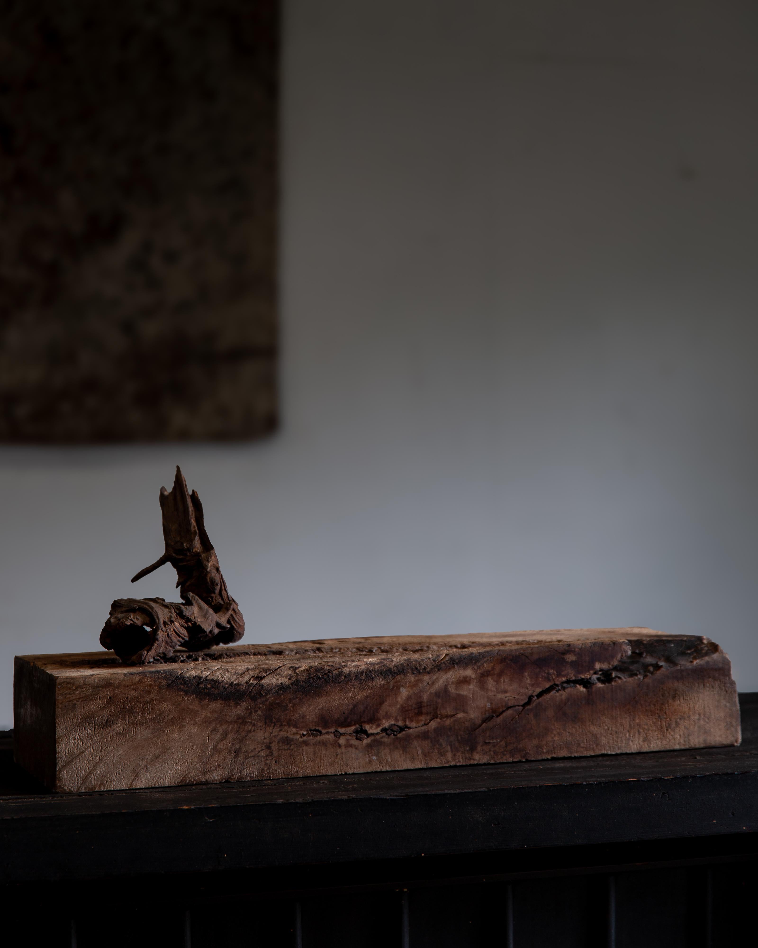 scultura in legno giapponese rustica wabi sabi, espositore astratto Dai, bonsai in vendita 6