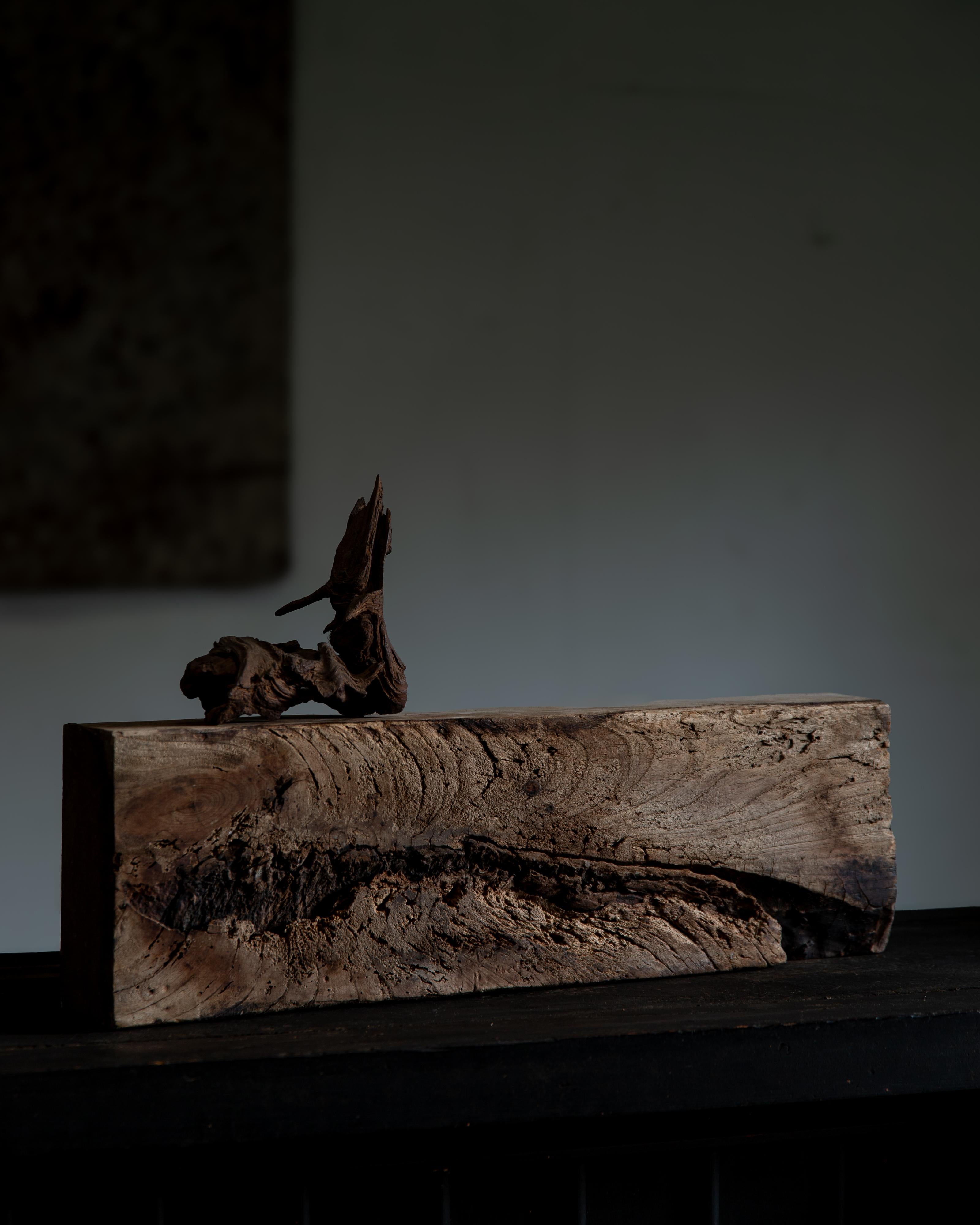 scultura in legno giapponese rustica wabi sabi, espositore astratto Dai, bonsai in vendita 7