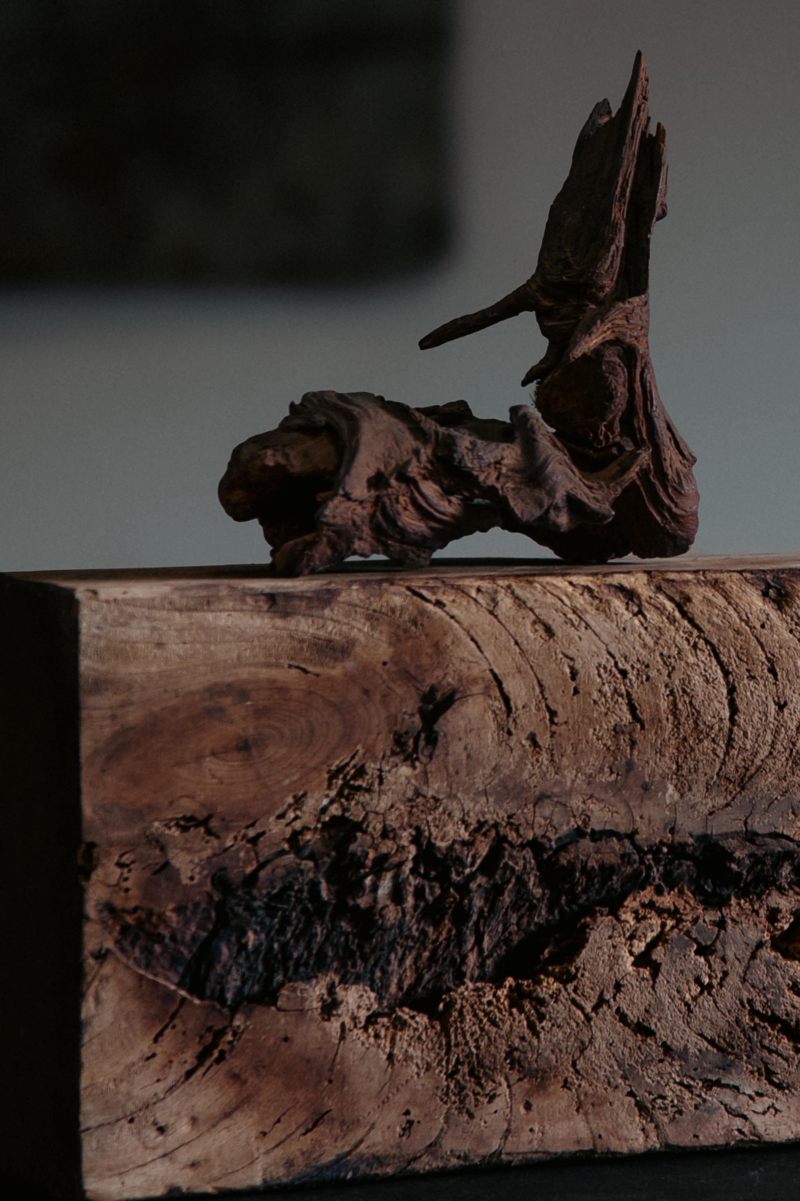 scultura in legno giapponese rustica wabi sabi, espositore astratto Dai, bonsai in vendita 8