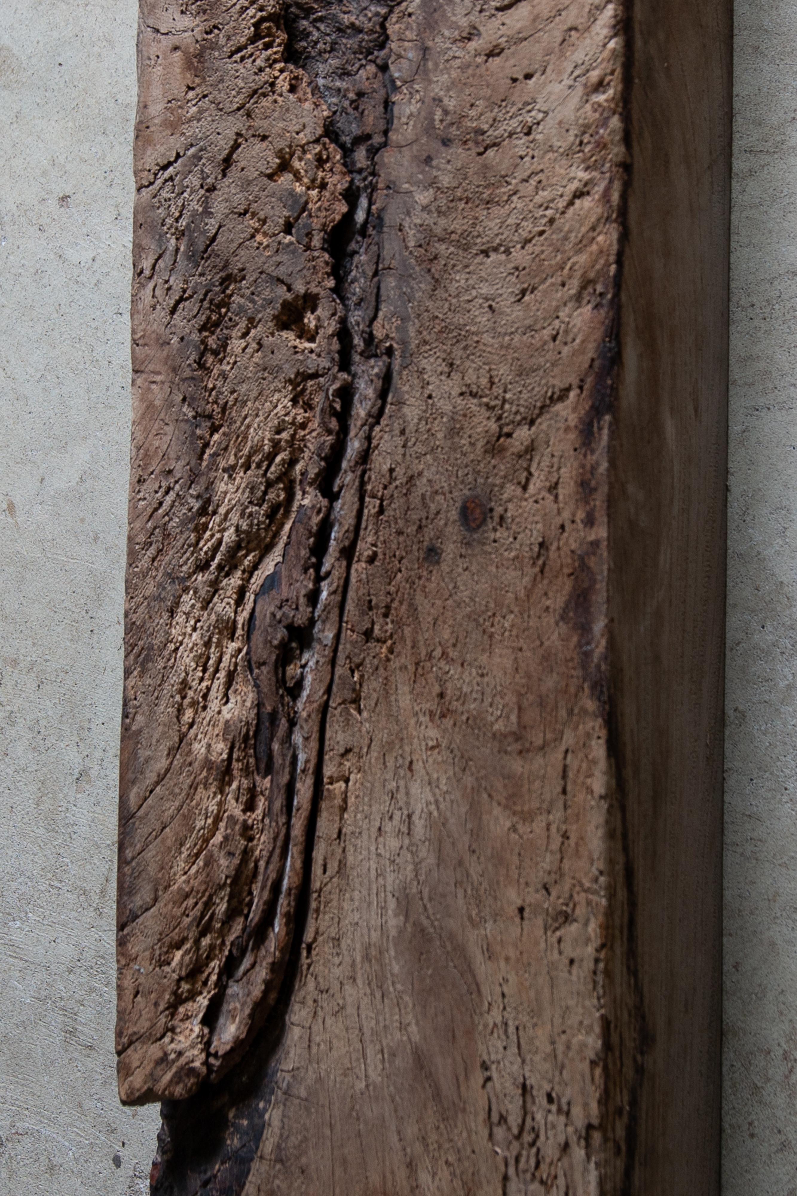 scultura in legno giapponese rustica wabi sabi, espositore astratto Dai, bonsai in vendita 12