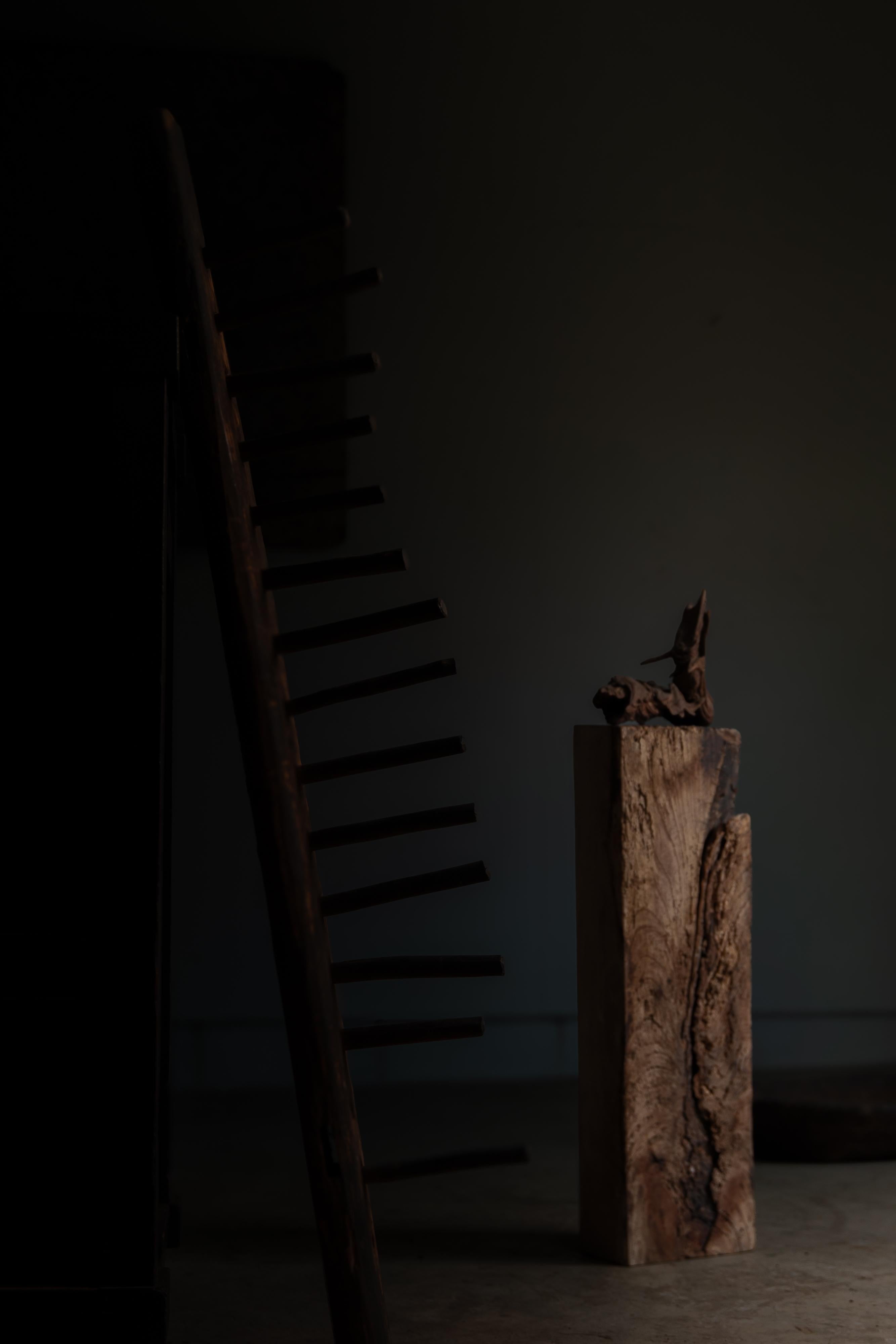 scultura in legno giapponese rustica wabi sabi, espositore astratto Dai, bonsai in vendita 13