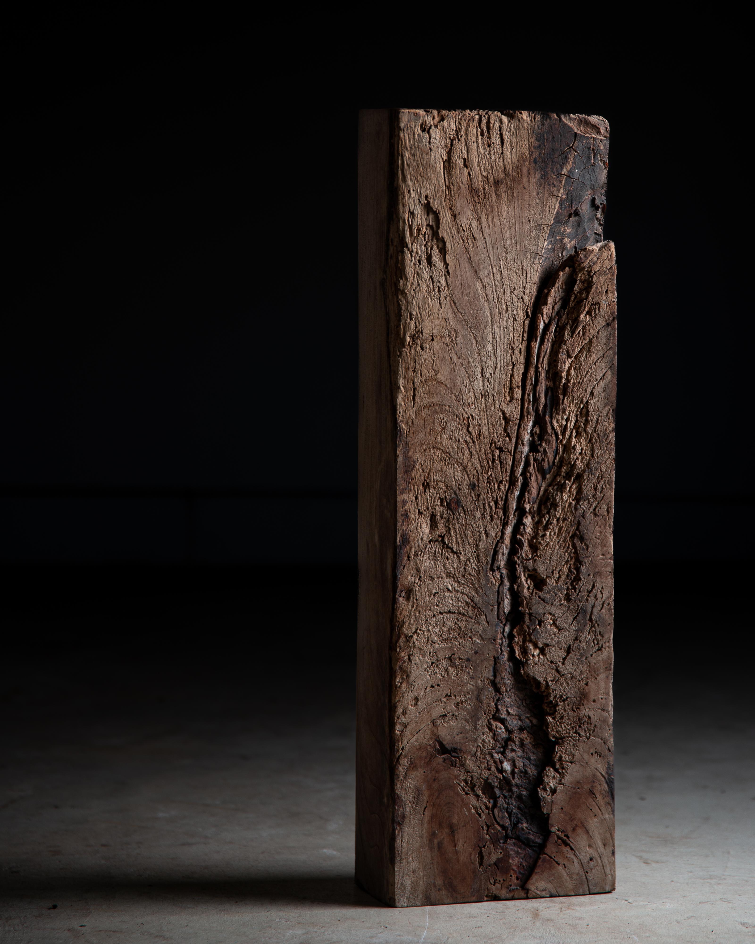 Blocco di legno duro Keyaki (Zelkova giapponese) vecchio e spesso
- È un pezzo d'arte wabi sabi unico nel suo genere, ma può essere utilizzato anche come espositore per piante (bonsai e succulente), oggetti decorativi e vasellame.
Indipendente sia