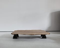 Wabi Sabi Primitive Naturalistic Japanese Low Table